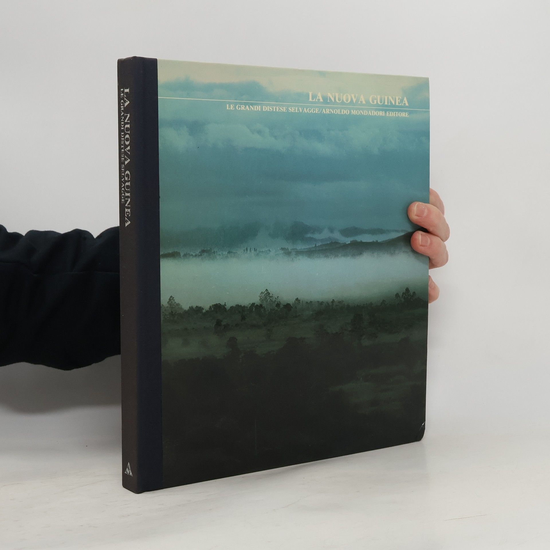 Autorenkollektiv La Nuova Guinea