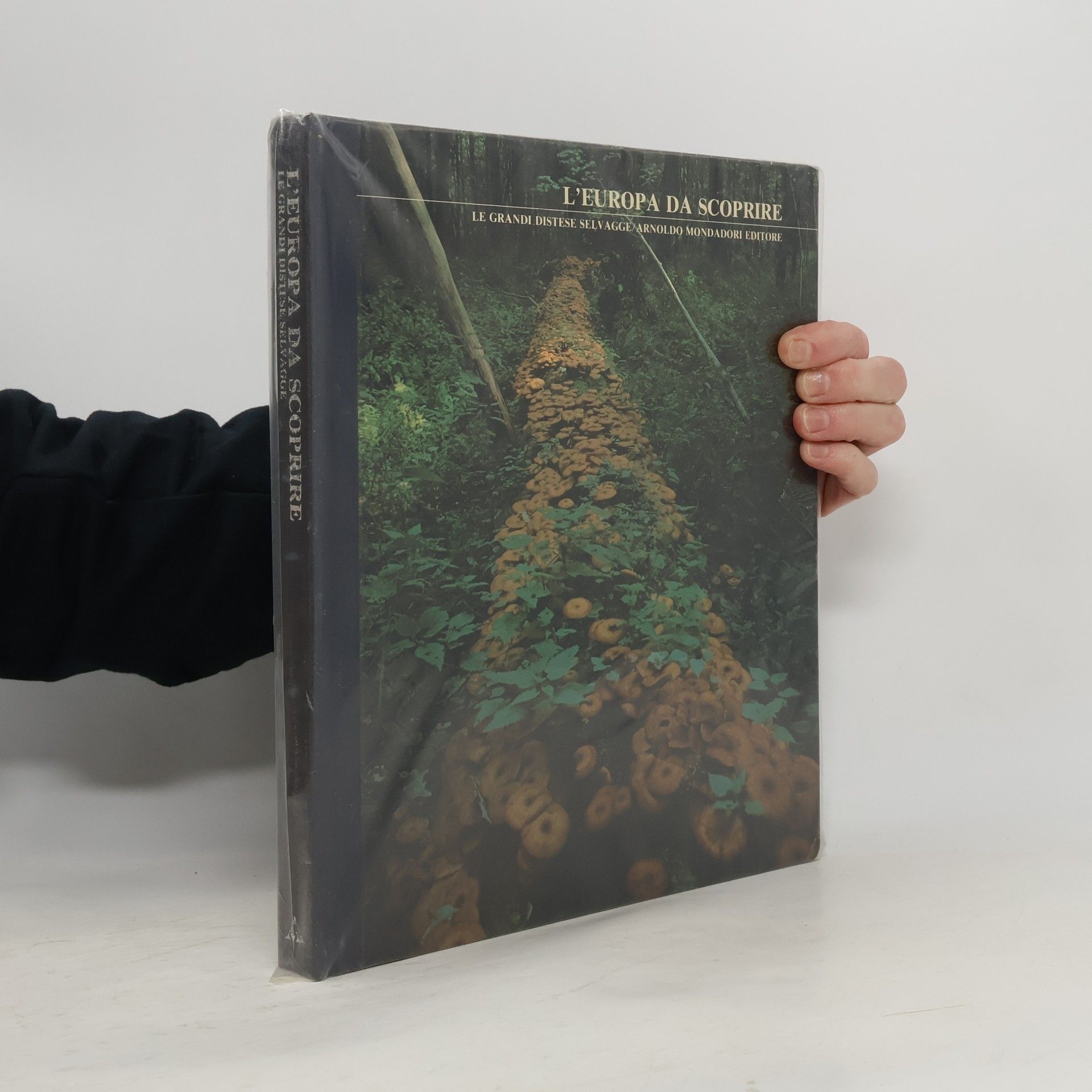 Autores varios L'Europa da scoprire