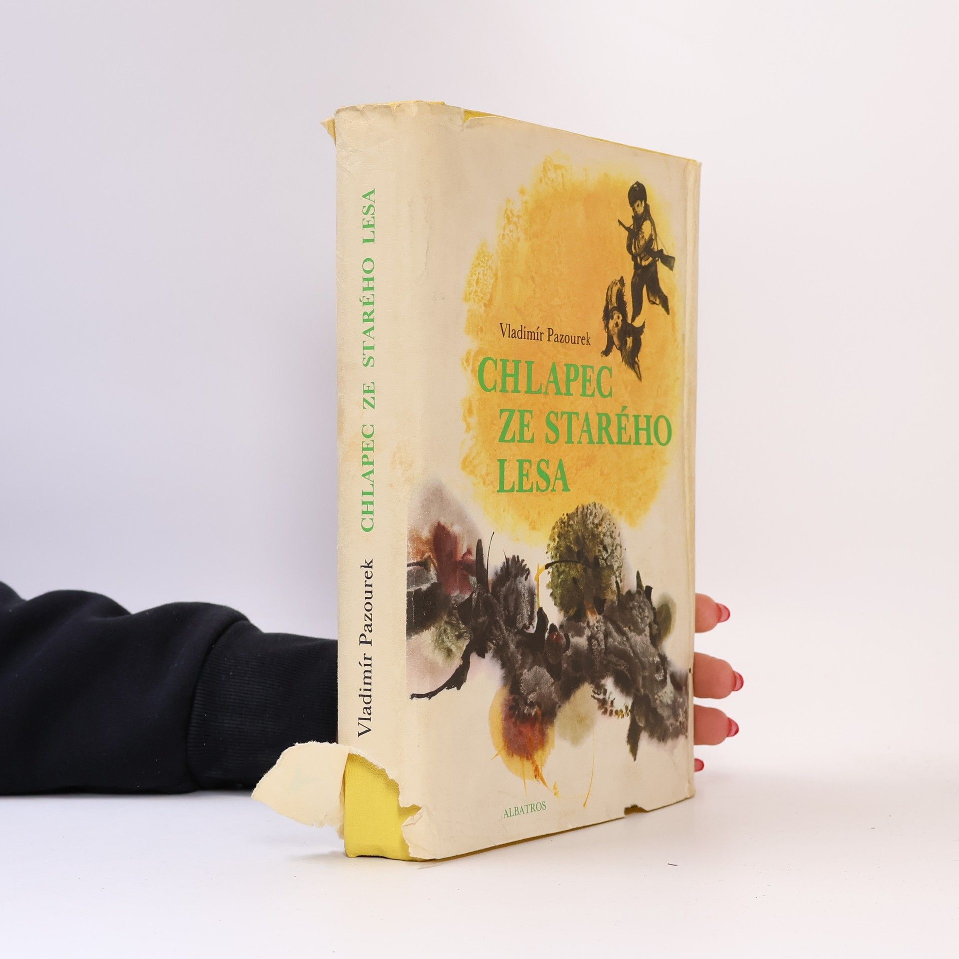Vladimír Pazourek Chlapec ze Starého lesa