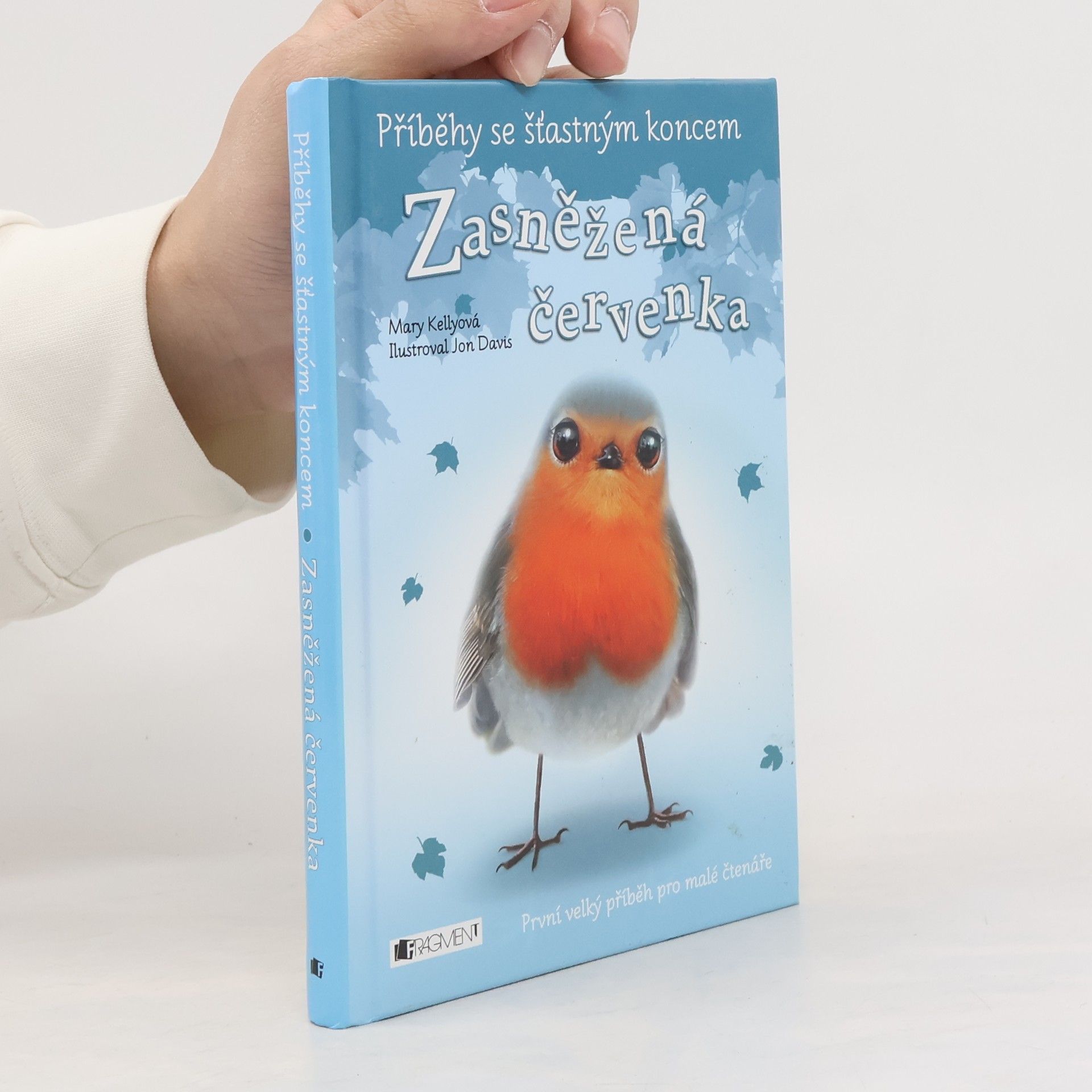 Mary Kelly Zasněžená červenka