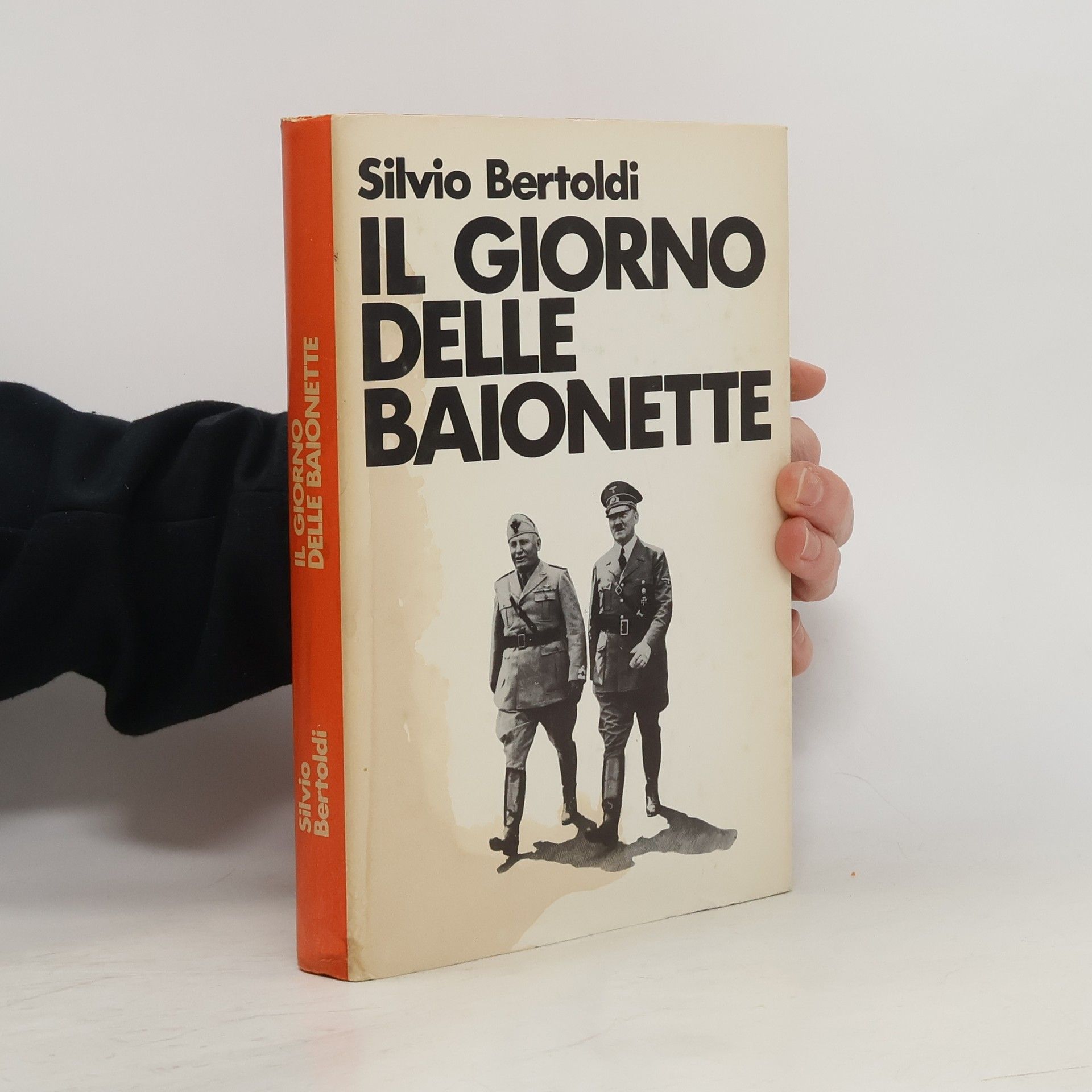 Silvio Bertoldi  Il giorno delle baionette