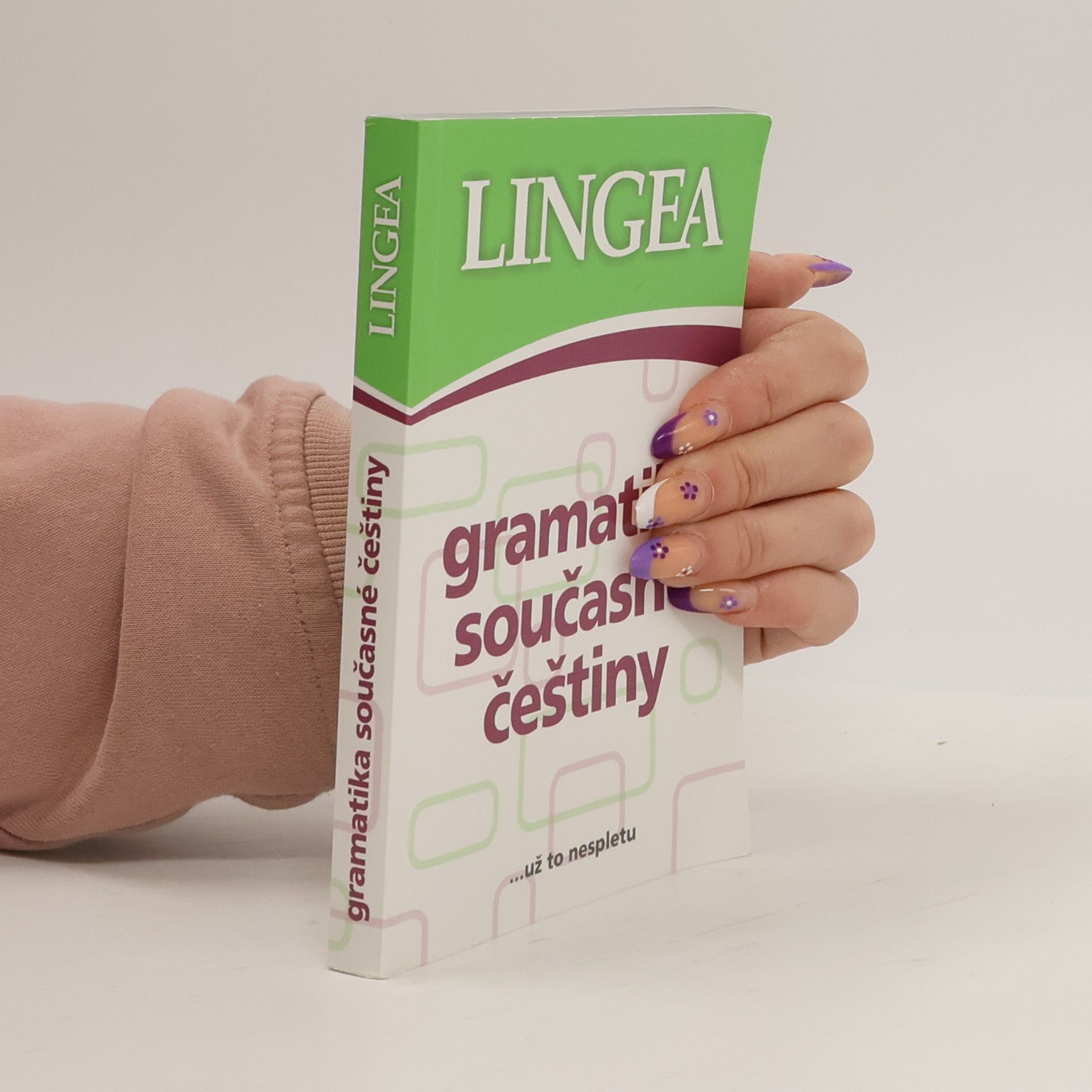 Kolektív autorov Gramatika současné češtiny