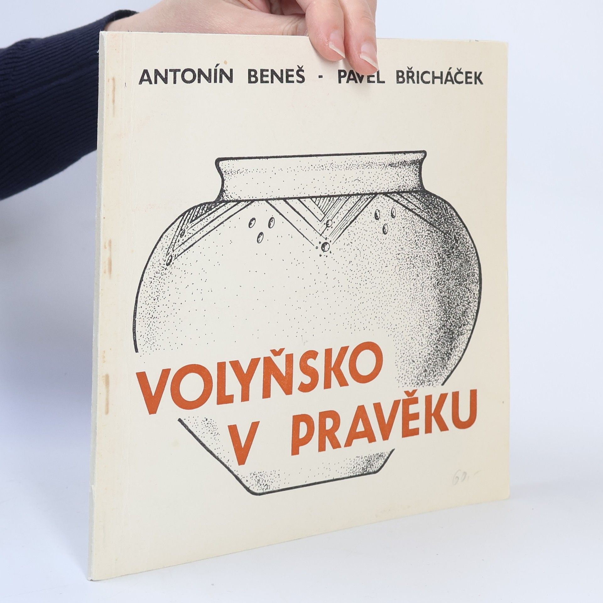 Antonín Beneš Volyňsko v pravěku