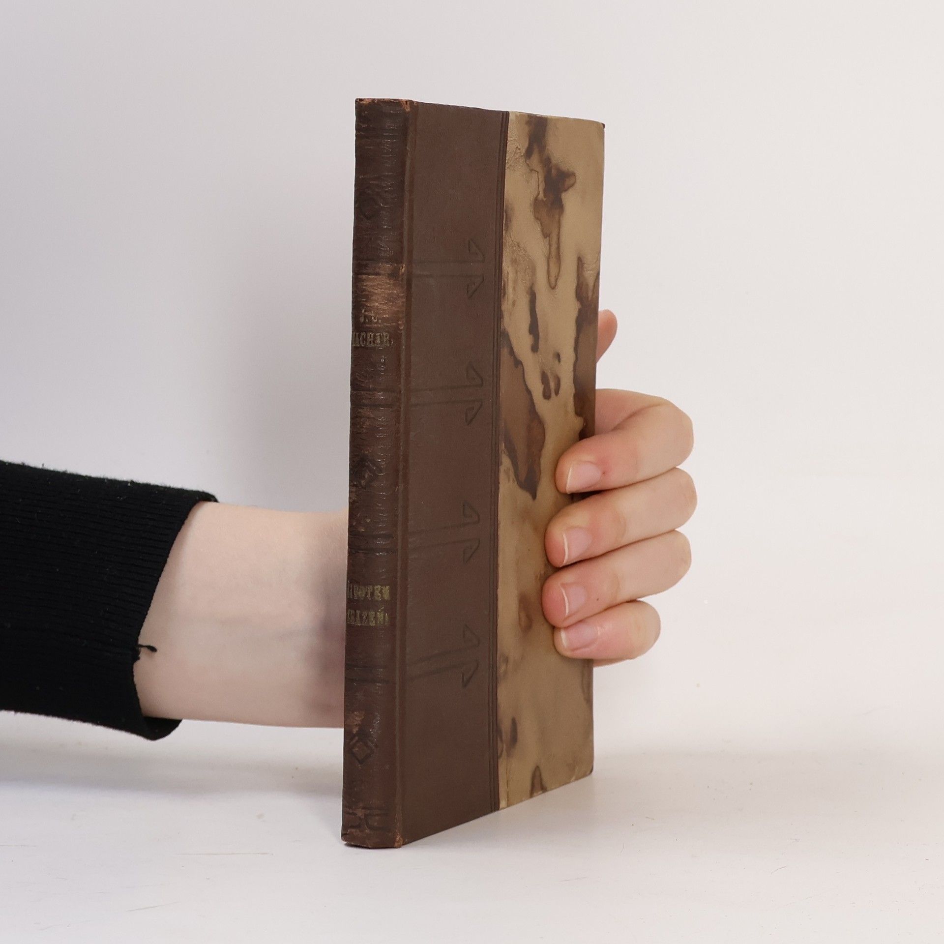 J. S. Machar Životem zrazení