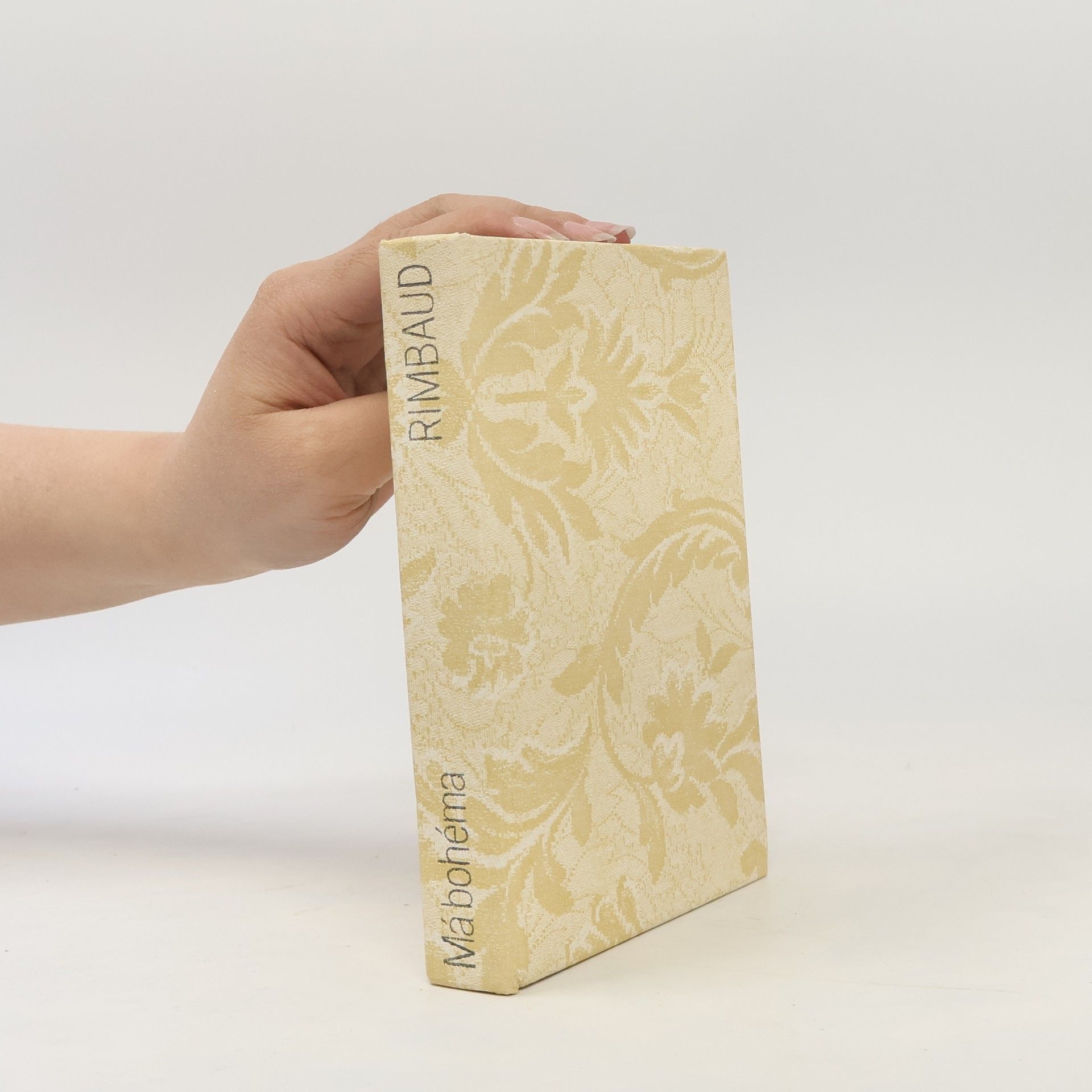 Arthur Rimbaud Má bohéma