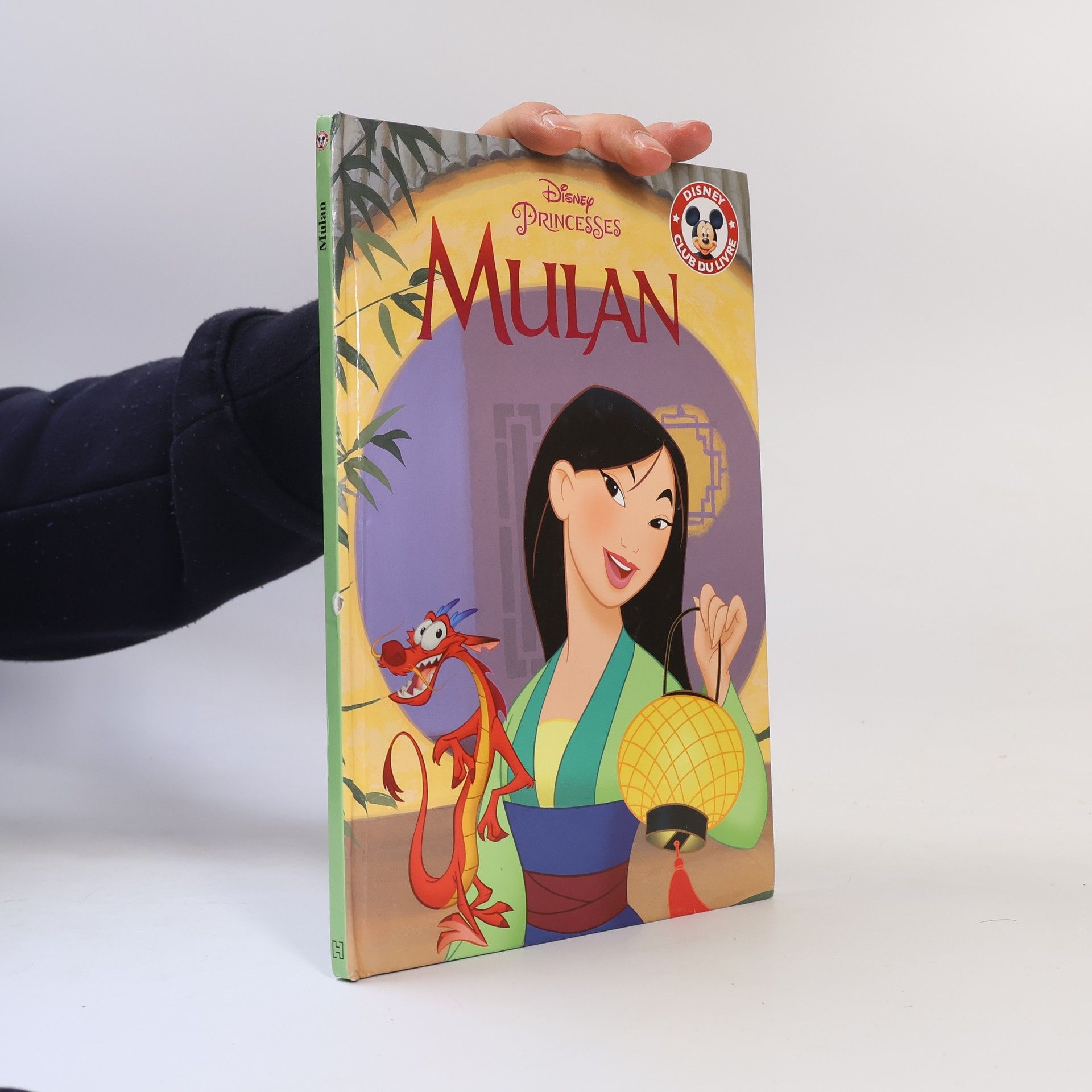 Disney Enterprises Mulan