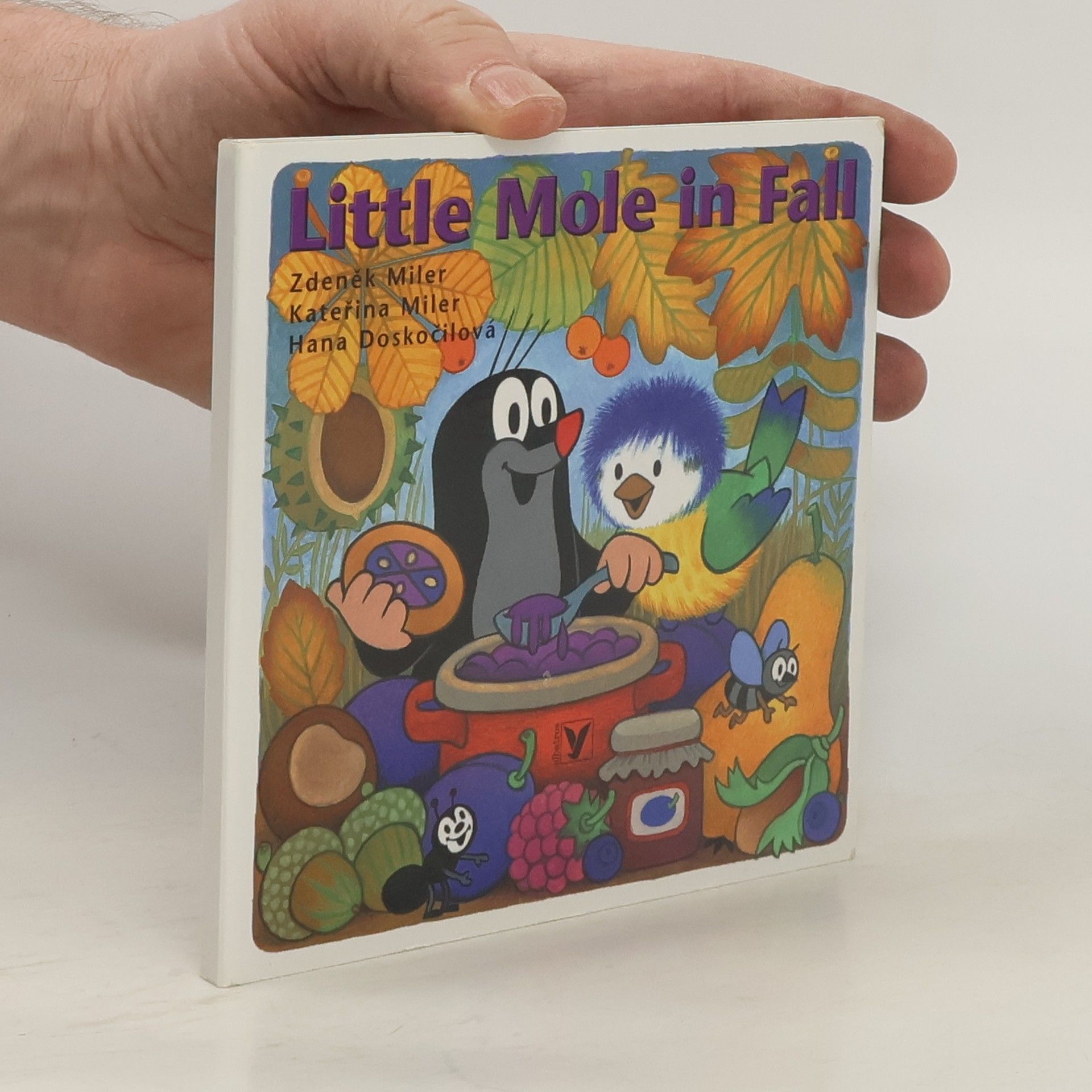 Kolektiv autorů Little mole in fall