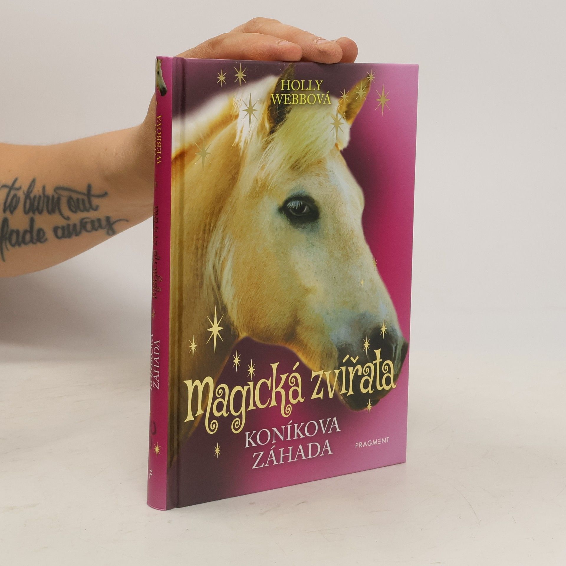 Holly Webb Koníkova záhada