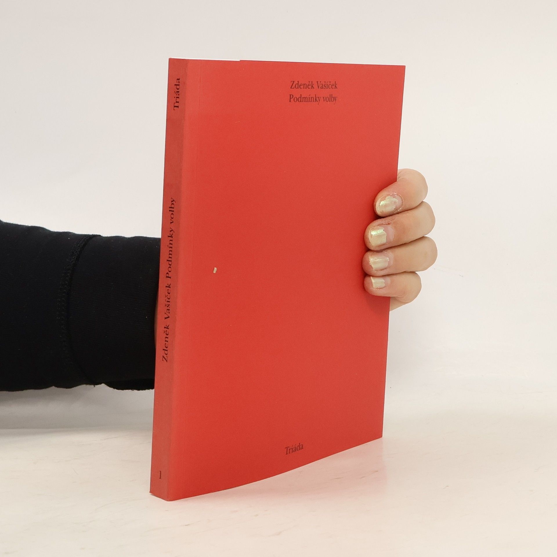 Zdeněk Vašíček Podmínky volby