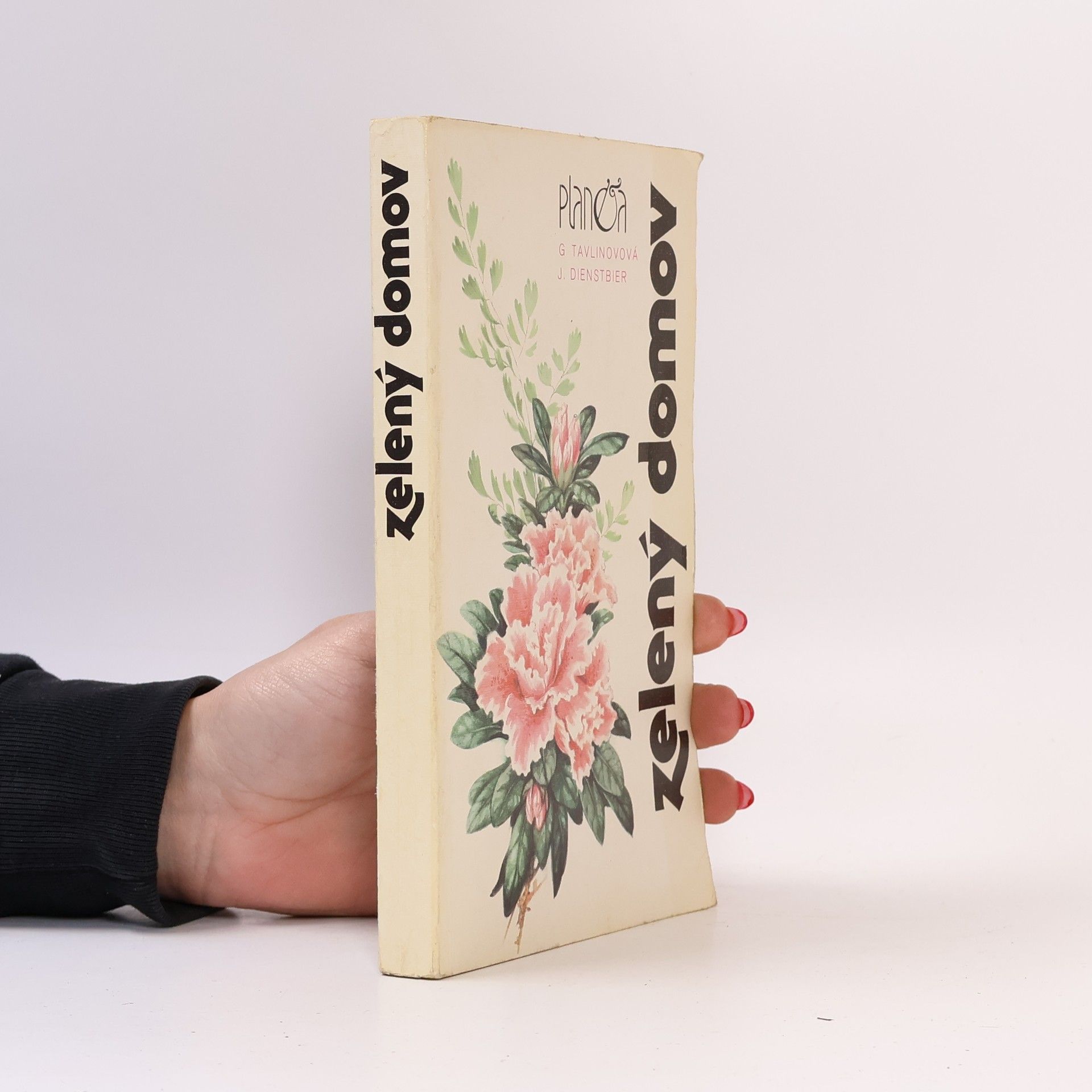 Galina Konstantinovna Tavlinova Zelený domov