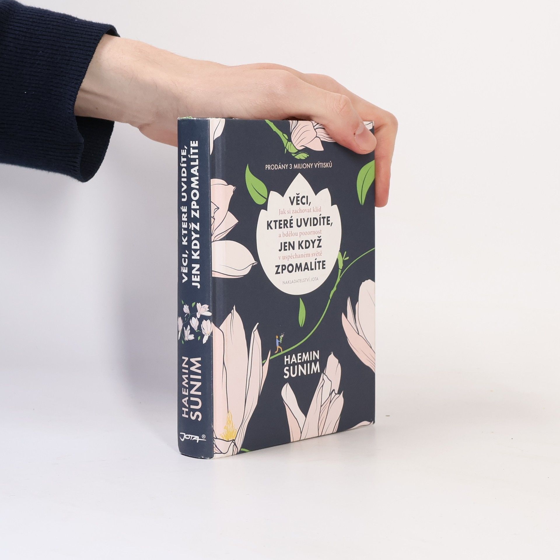 Sunim Haemin Věci, které uvidíte, jen když zpomalíte