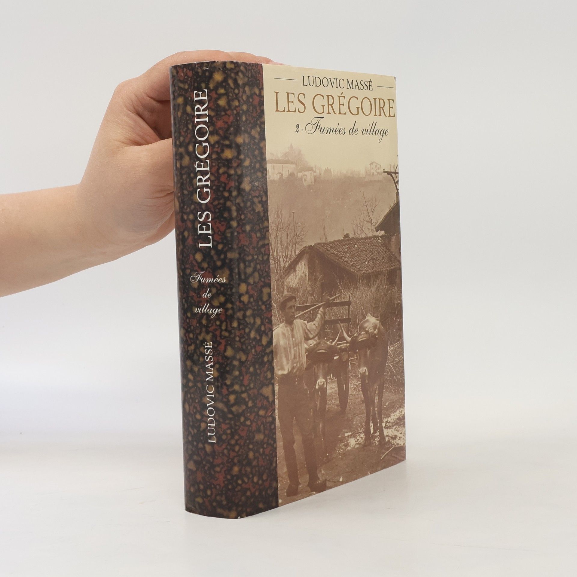 Ludovic Massé Les Grégoire - 2: Fumées de village