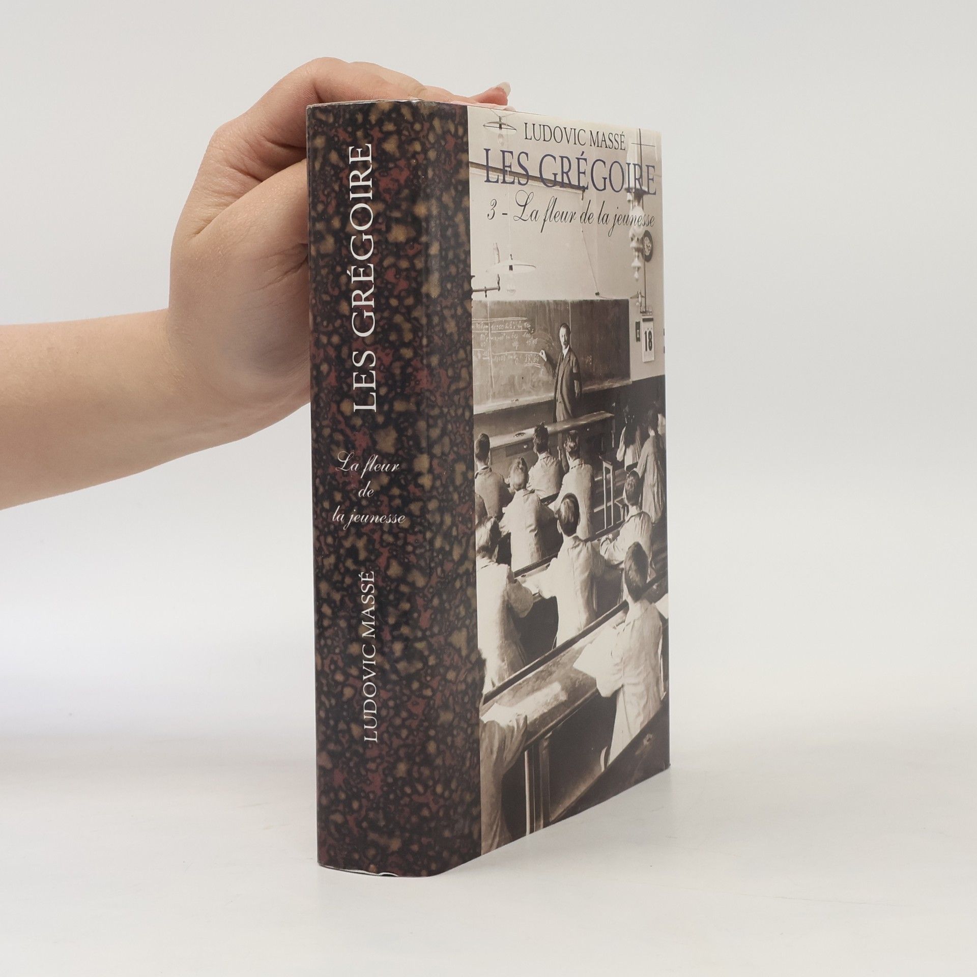 Ludovic Massé Les Grégoire