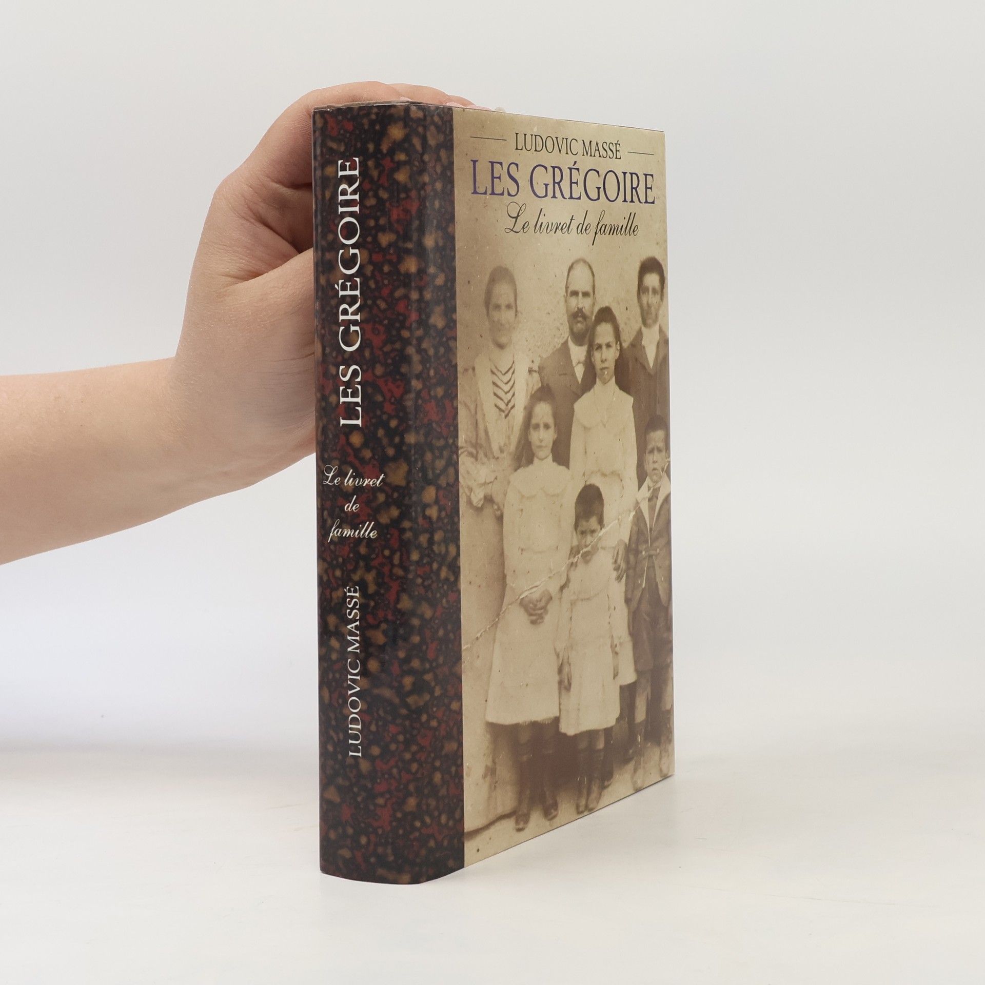 Ludovic Massé Le livret de famille