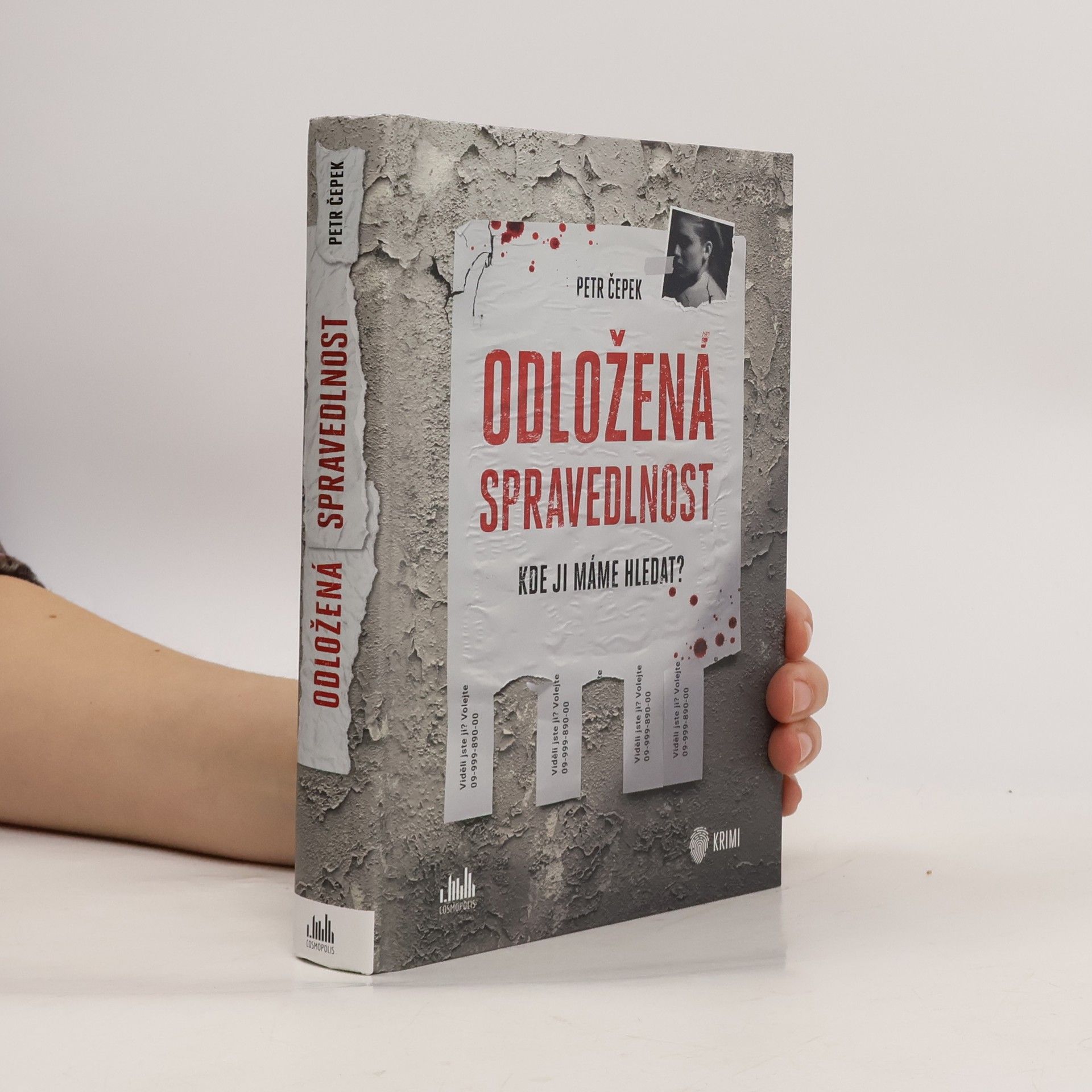 Petr Čepek Odložená spravedlnost