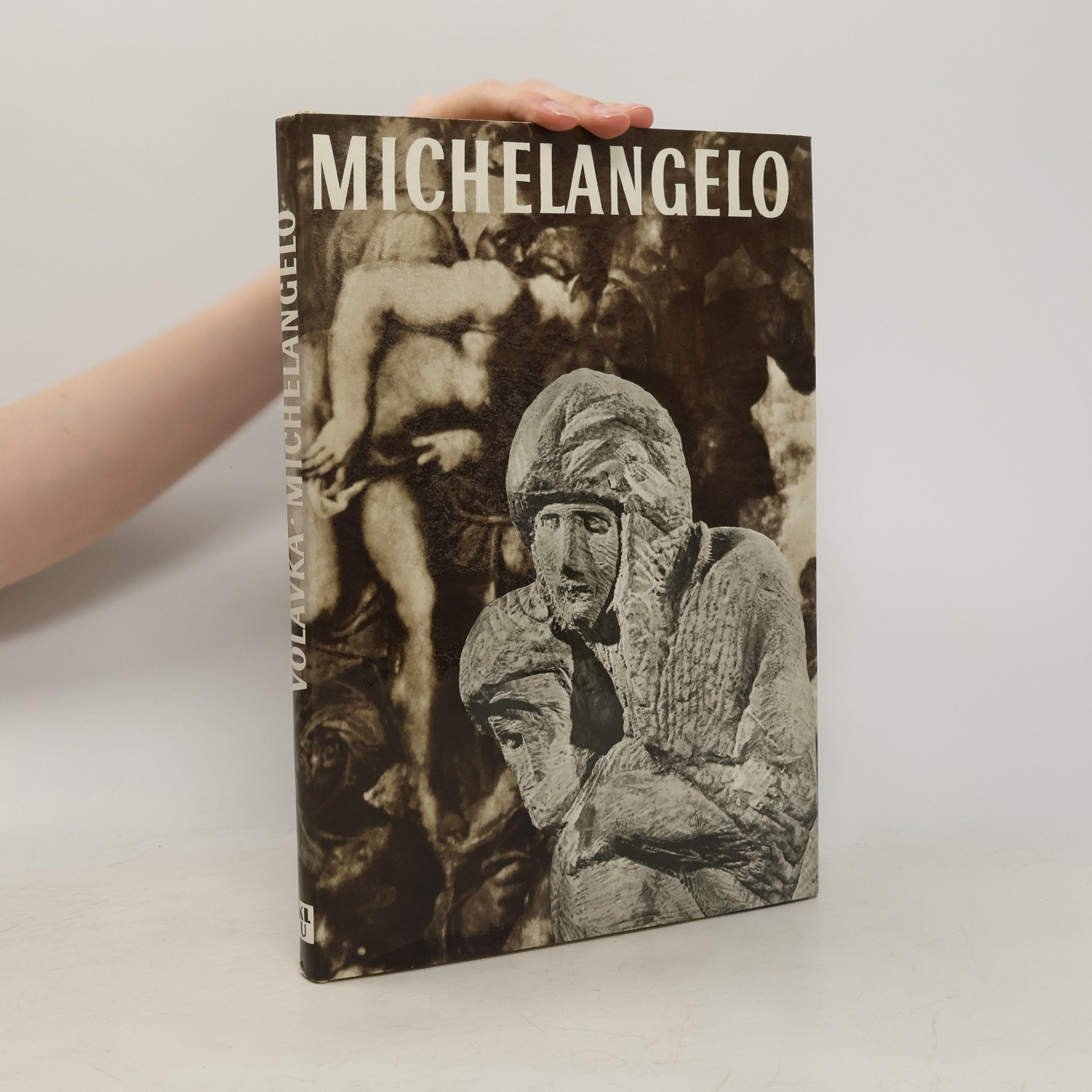 Vojtěch Volavka Michelangelo