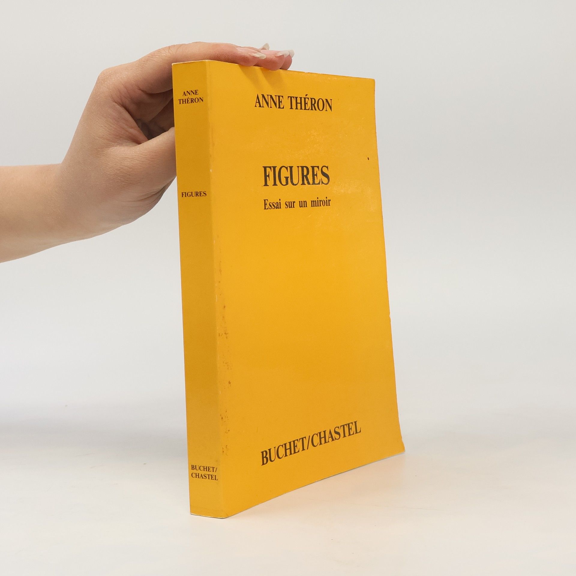 Anne Théron Figures: essai sur un miroir