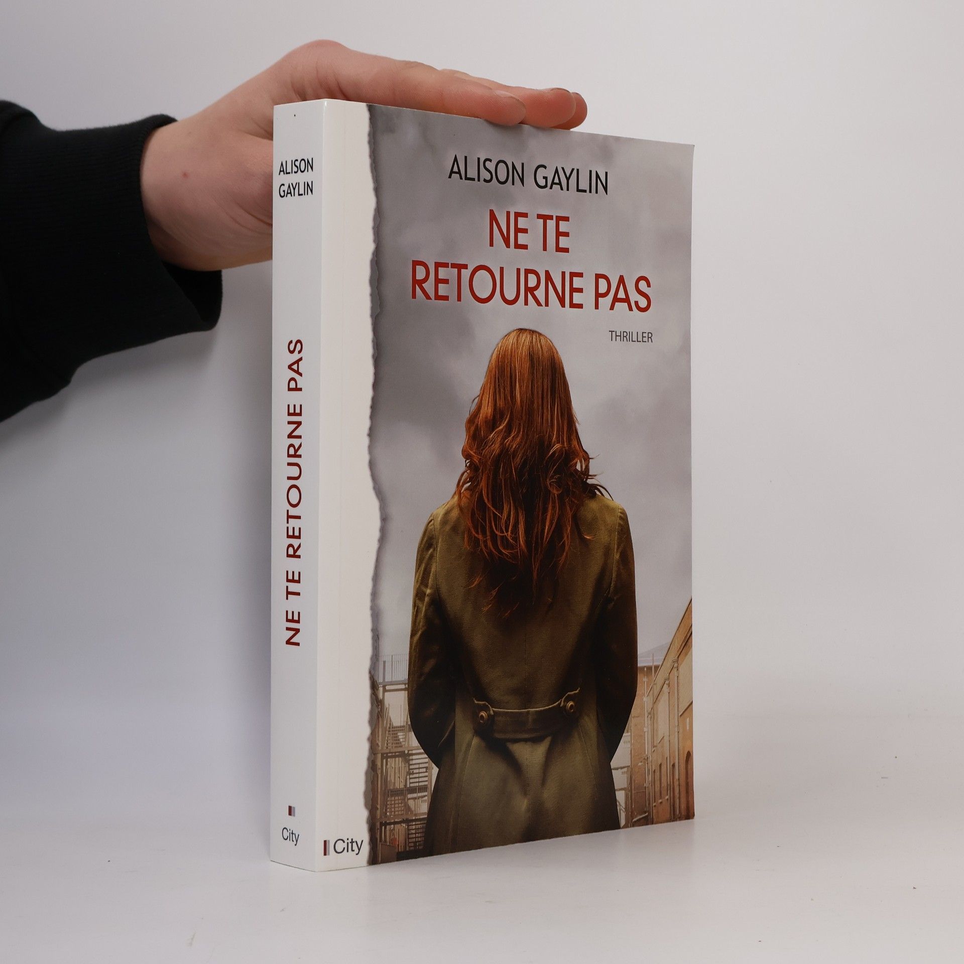 Alison Gaylin Ne te retourne pas