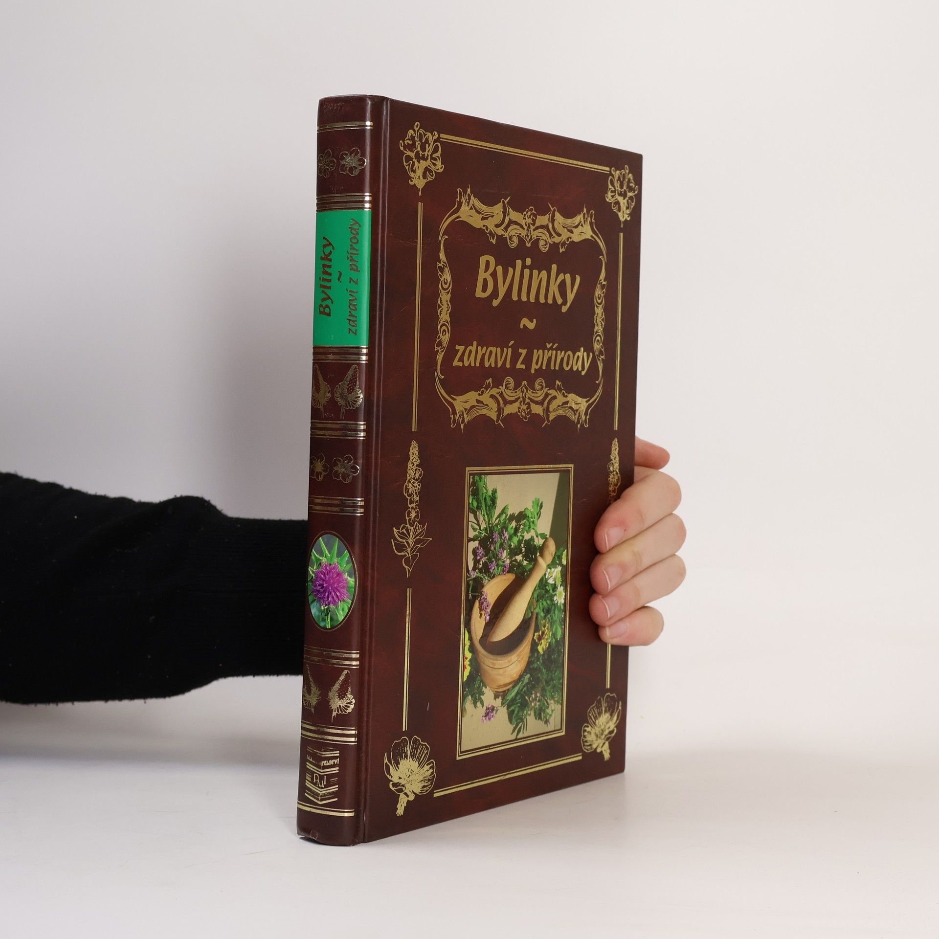 Eva Richtárová Bylinky : zdraví z přírody