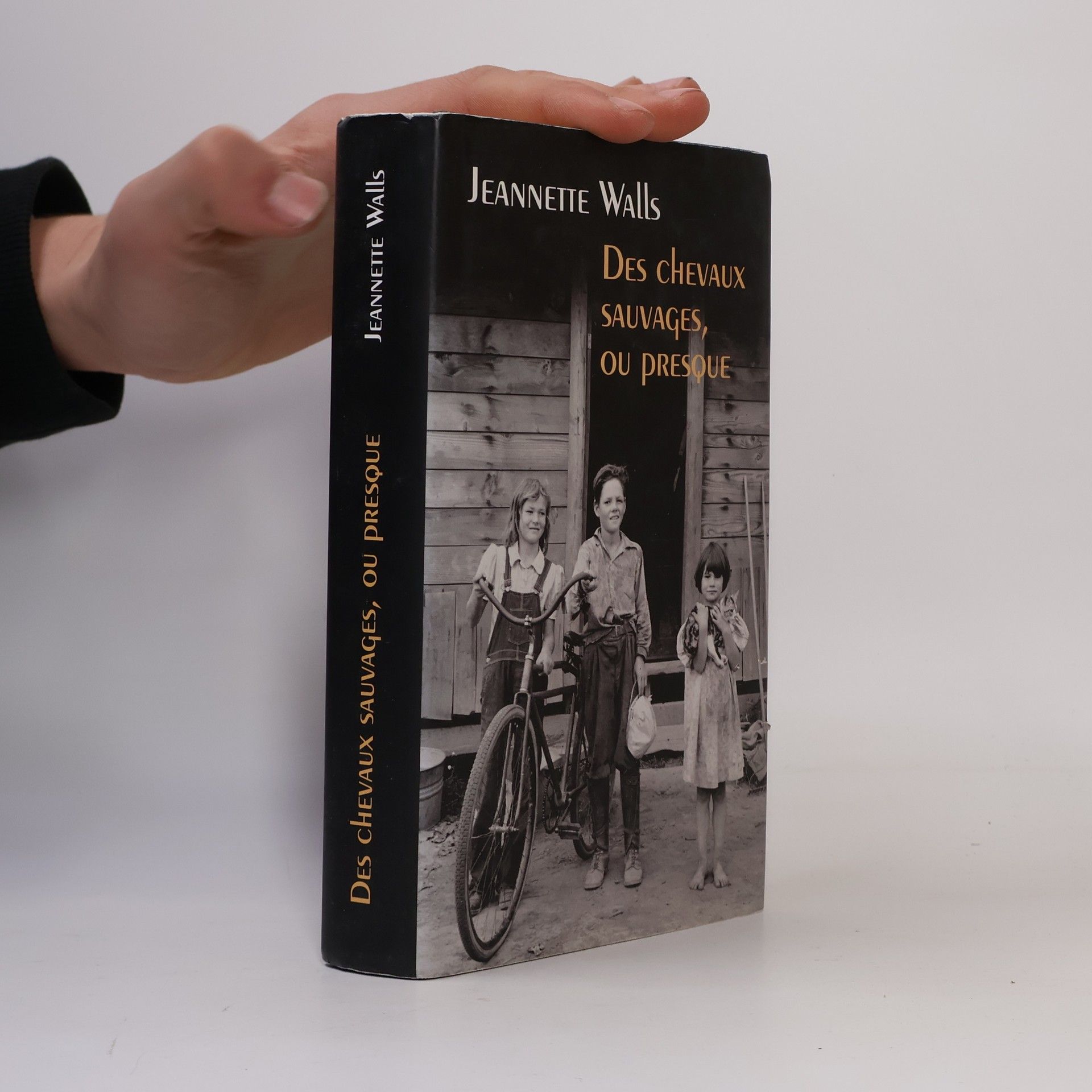 Des chevaux sauvages, ou presque