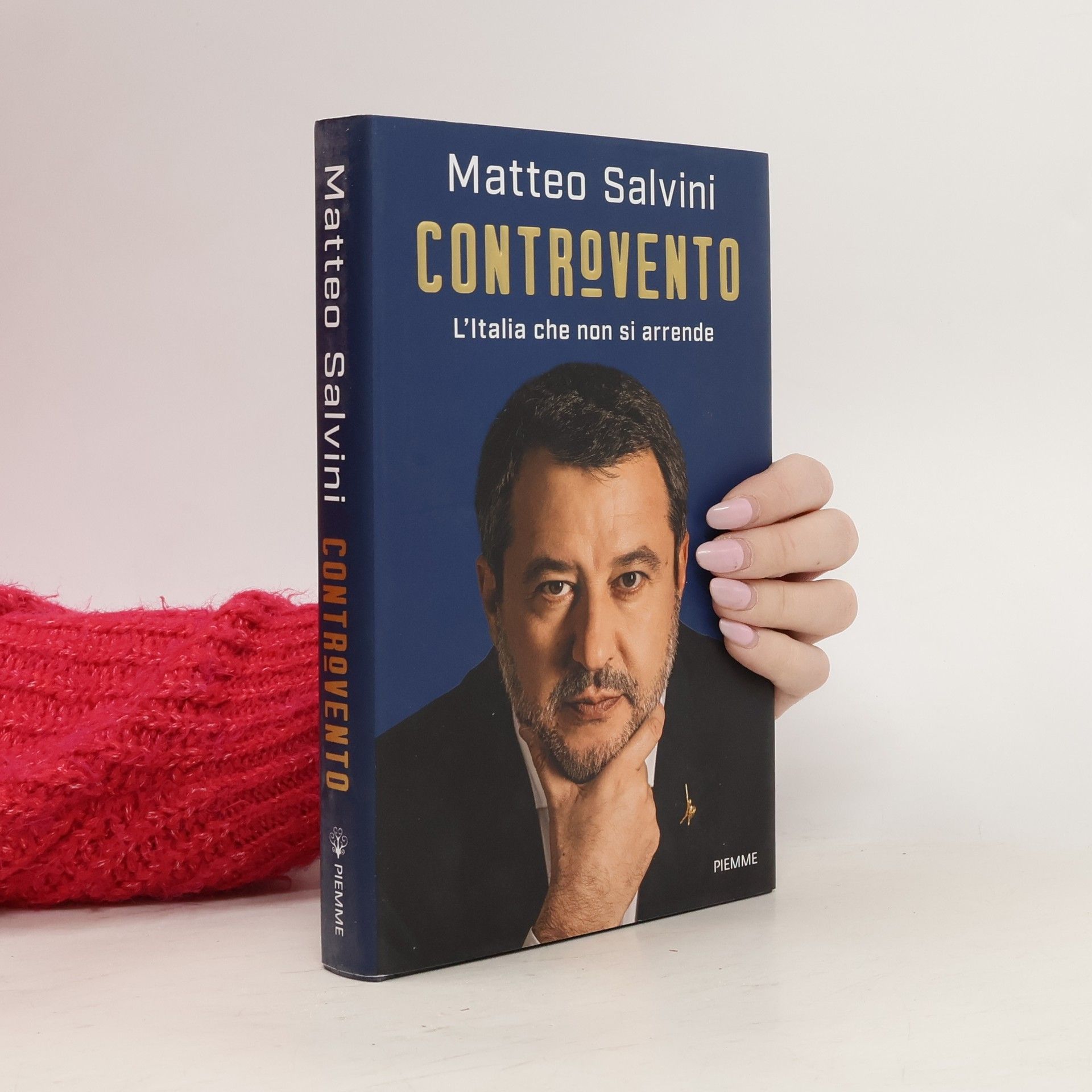 Matteo Salvini Controvento. L'Italia che non si arrende