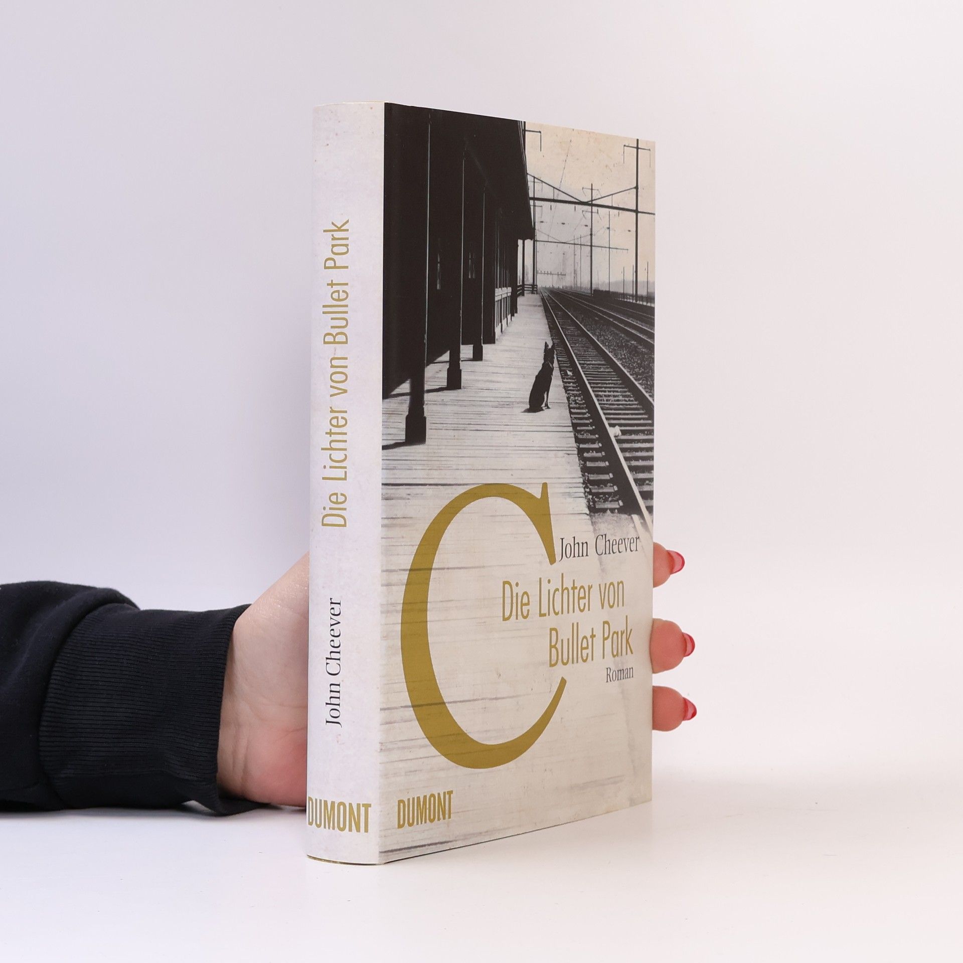 John Cheever Die Lichter von Bullet Park