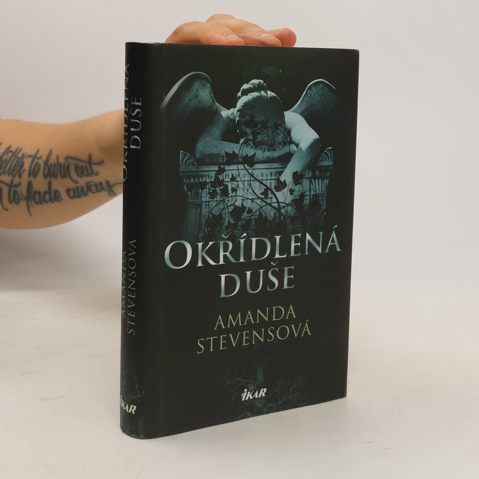 Amanda Stevens Okřídlená duše