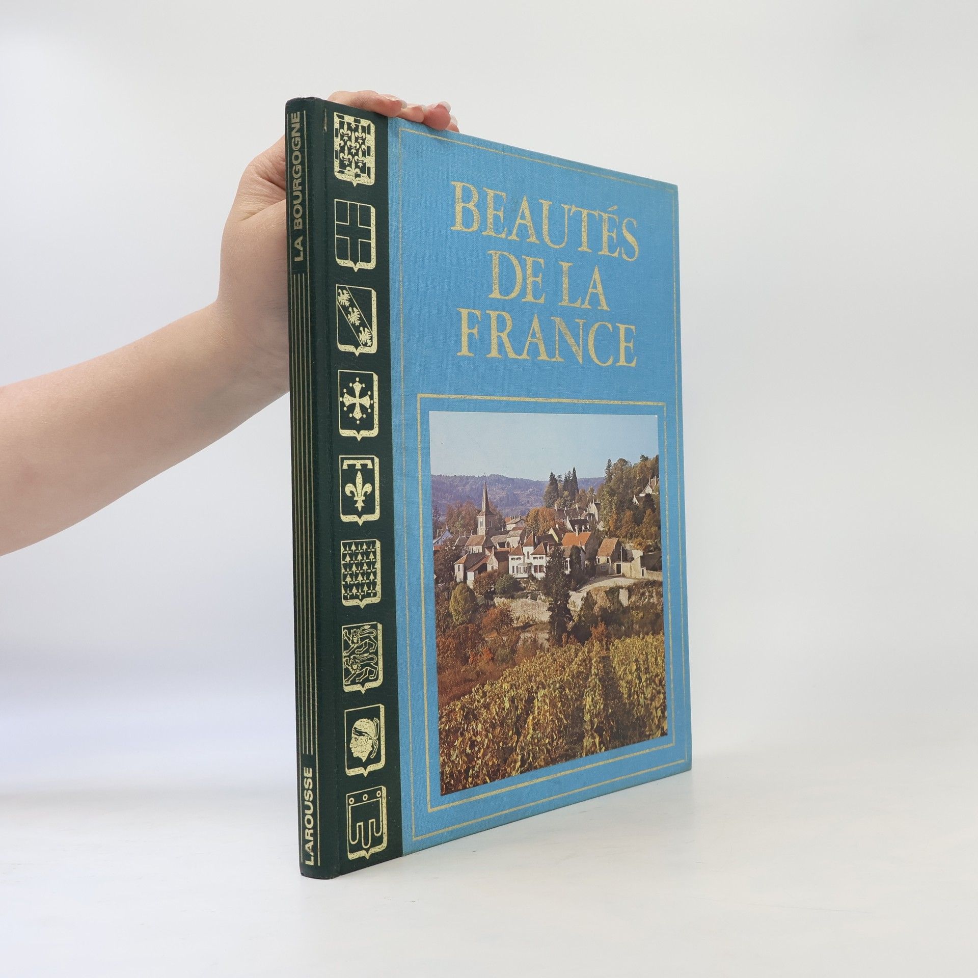 Autores varios Beautés de la France: La Bourgogne