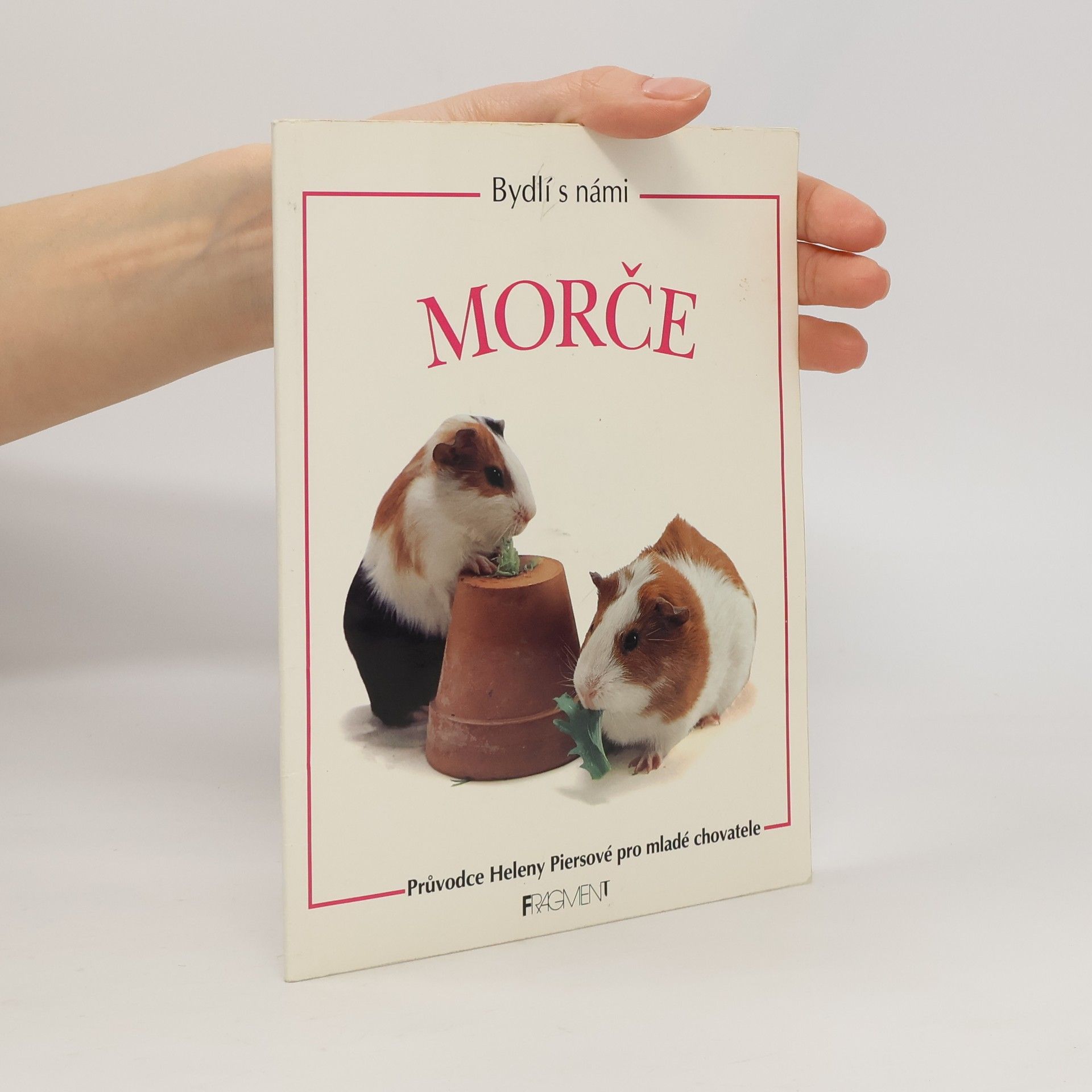 Bydlí s námi morče