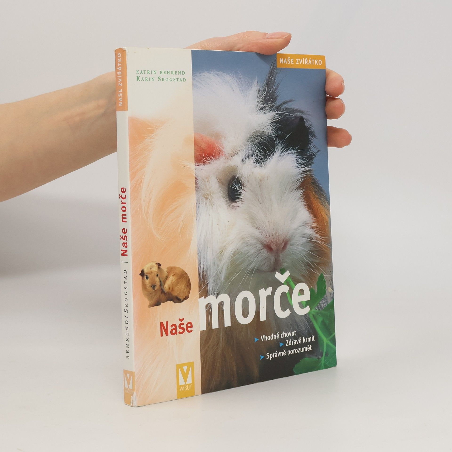Katrin Behrend Naše morče: Vhodná péče, zdravá strava, správné porozumění