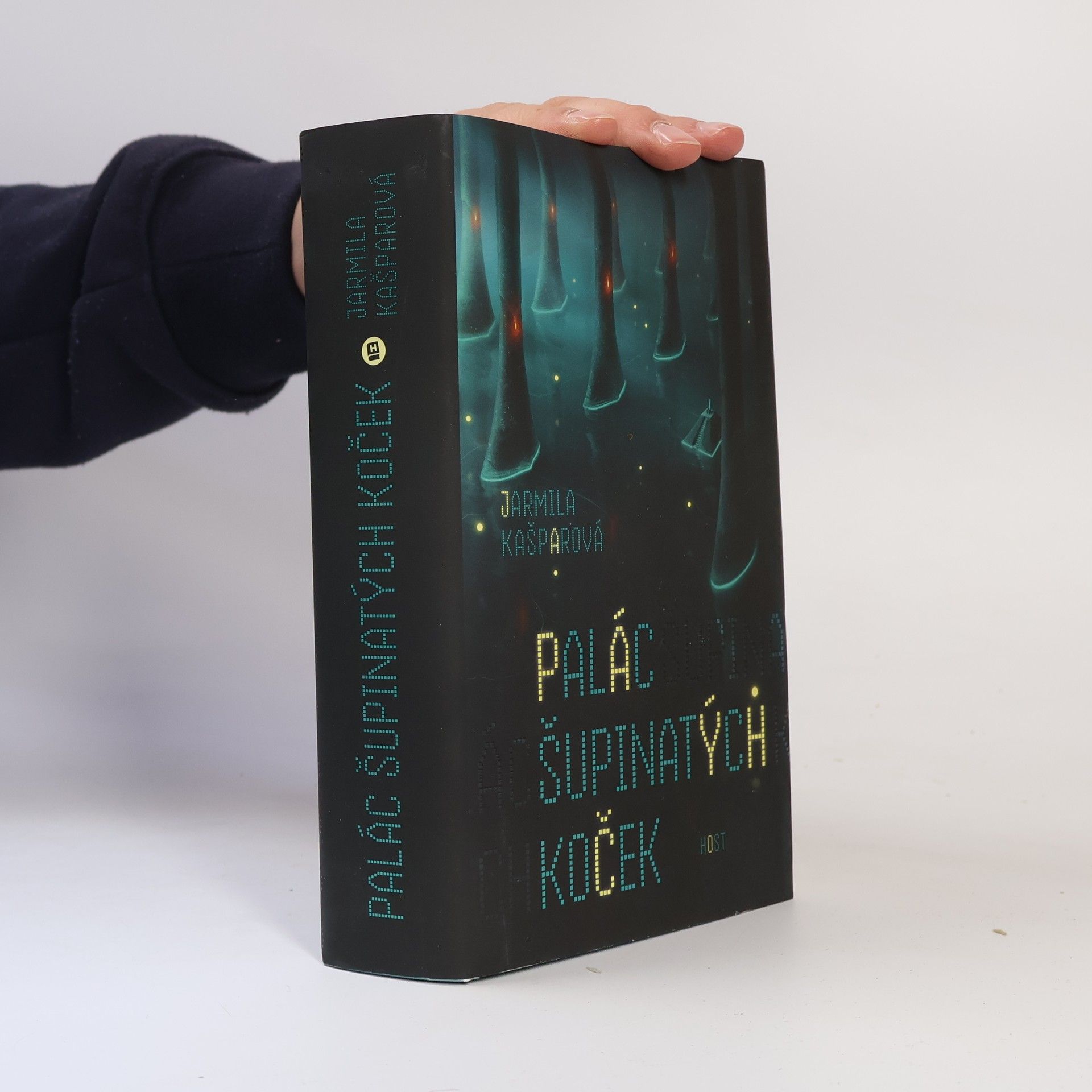 Jarmila Kašparová Palác šupinatých koček