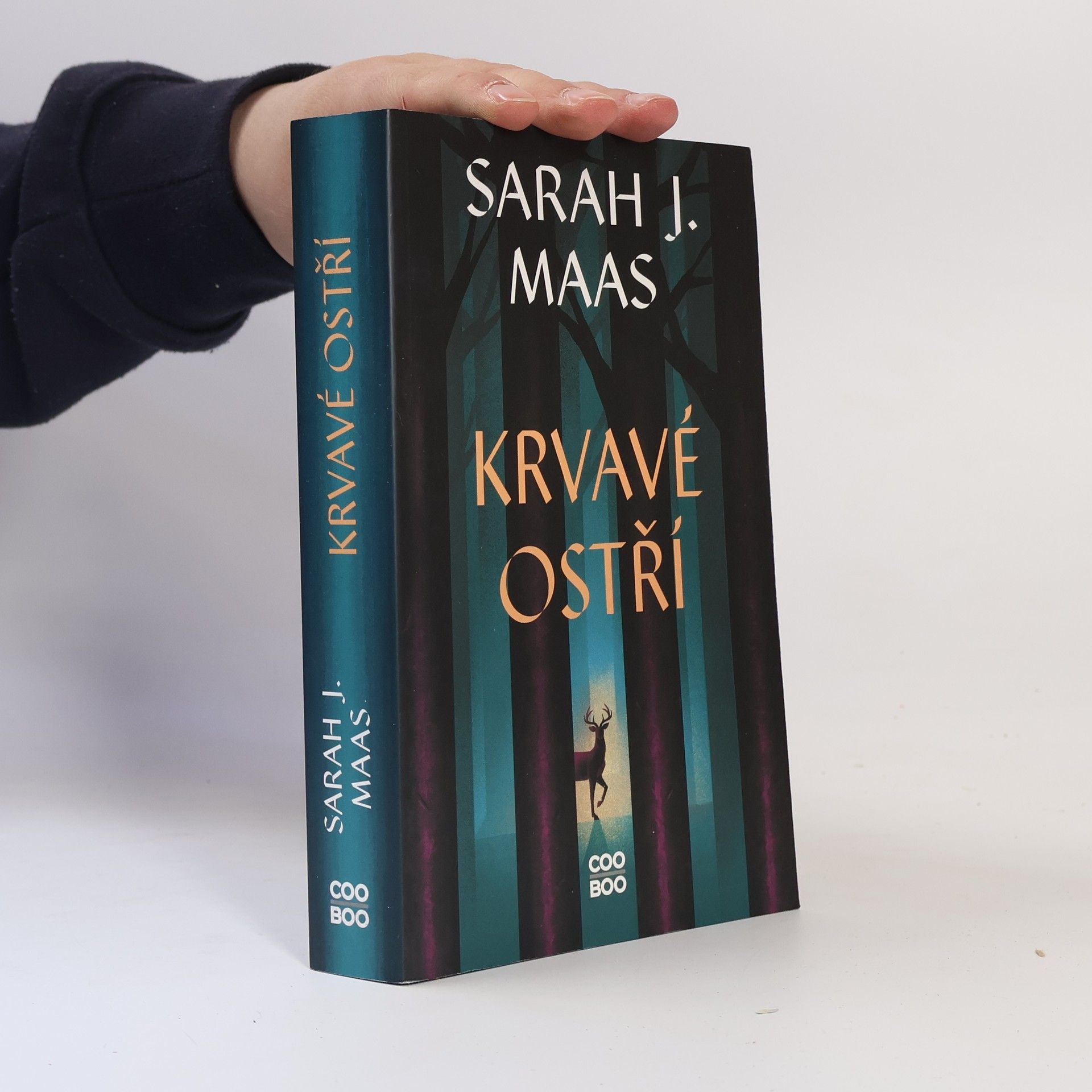 Sarah J. Maas Krvavé ostří