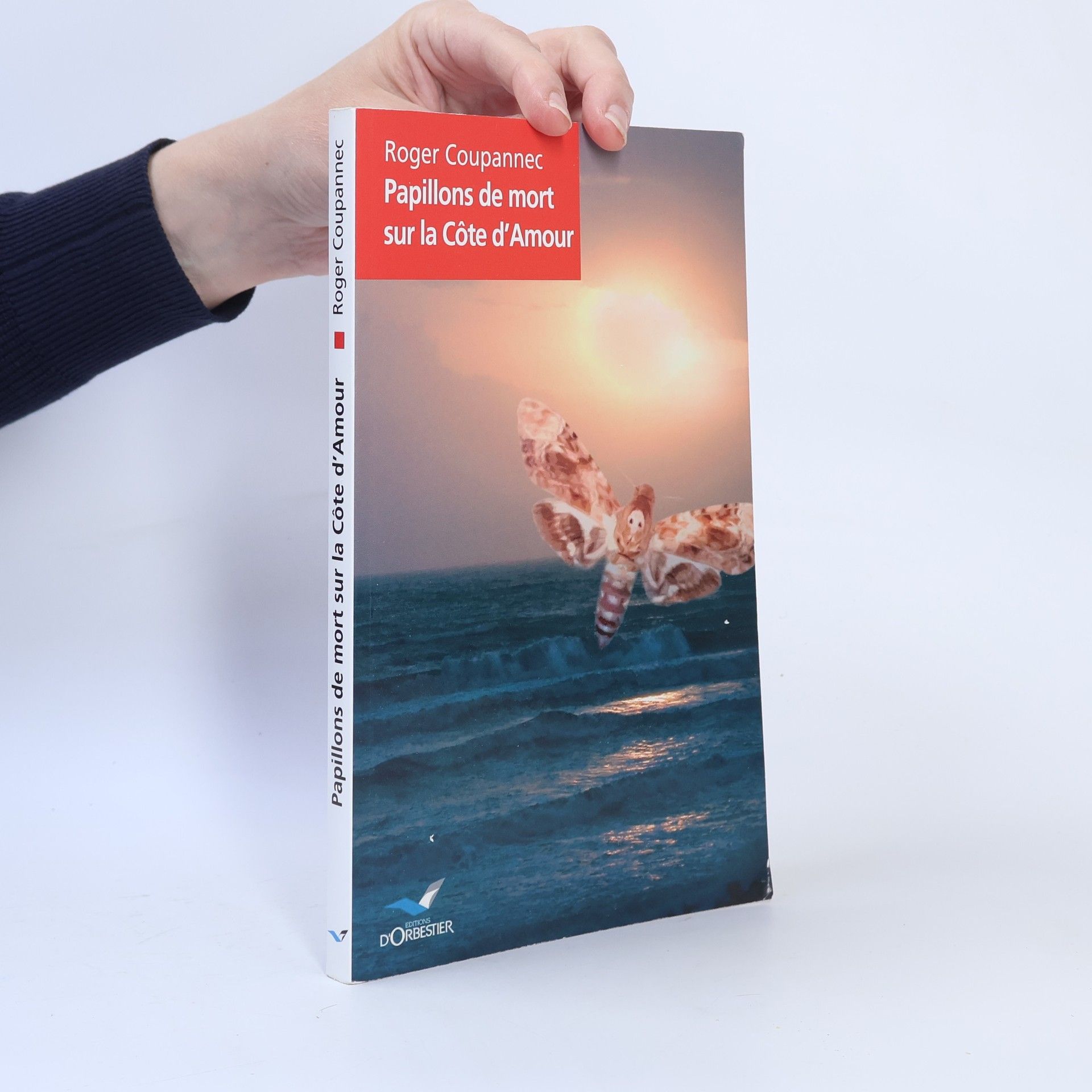 Roger Coupannec Papillons de mort sur la Côte d'Amour