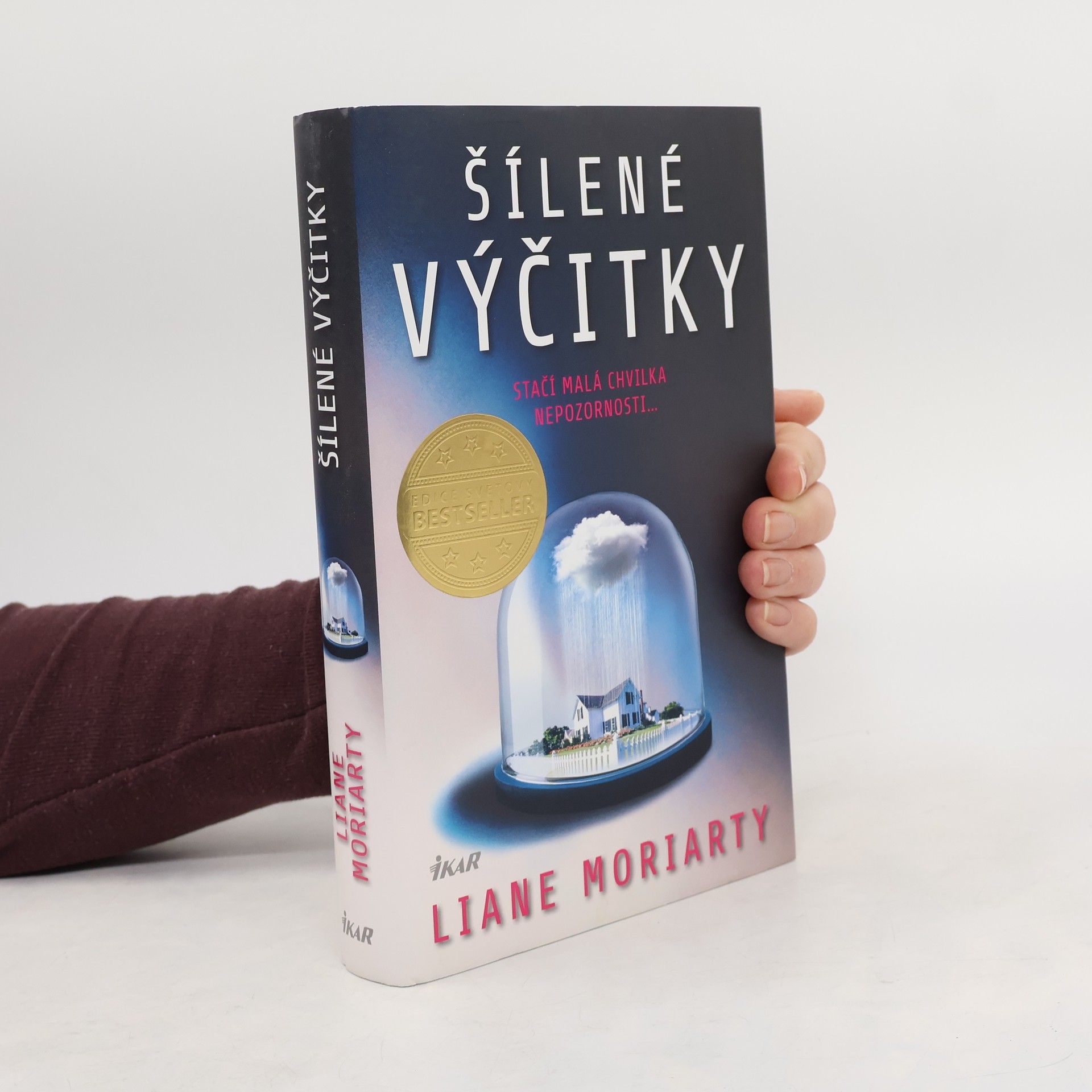 Liane Moriarty Šílené výčitky