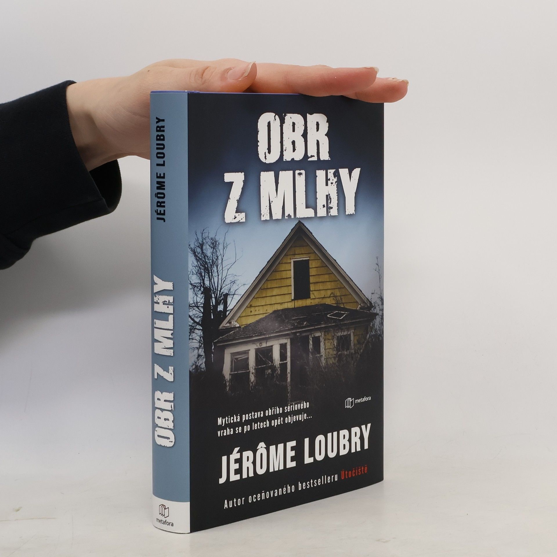 Jérôme Loubry Obr z mlhy