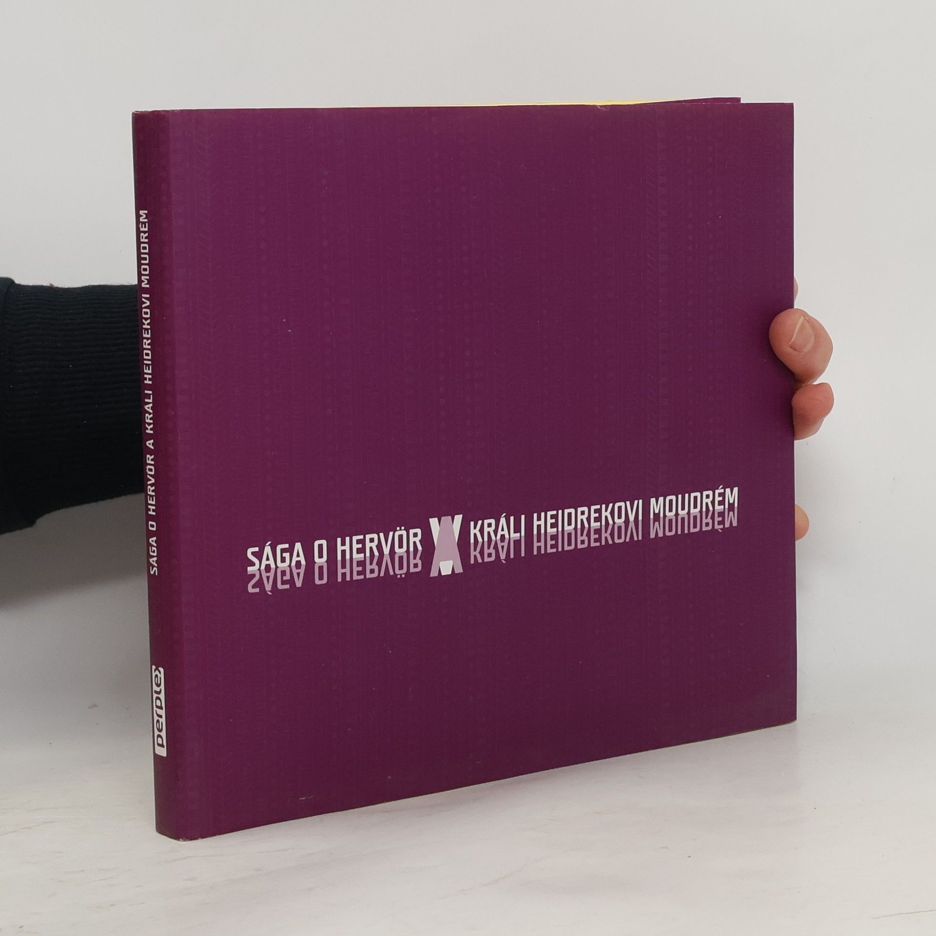 Miroslav Černý Sága o Hervör a králi Heidrekovi Moudrém