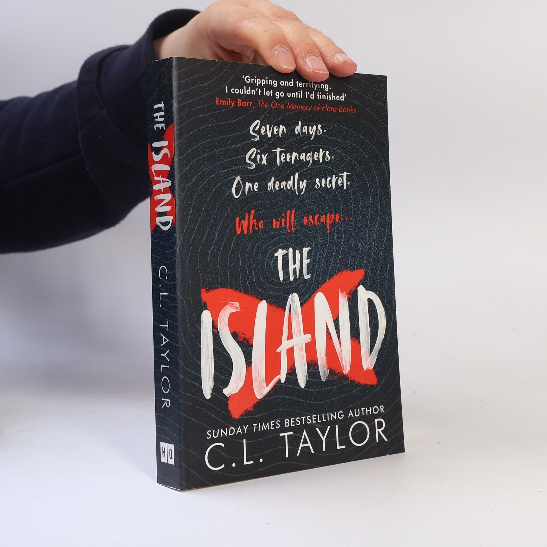 C.L. Taylor The Island