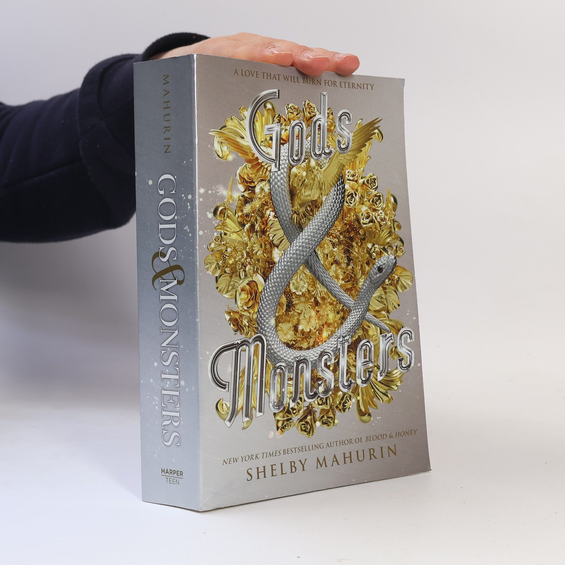 Shelby Mahurin Gods & monsters