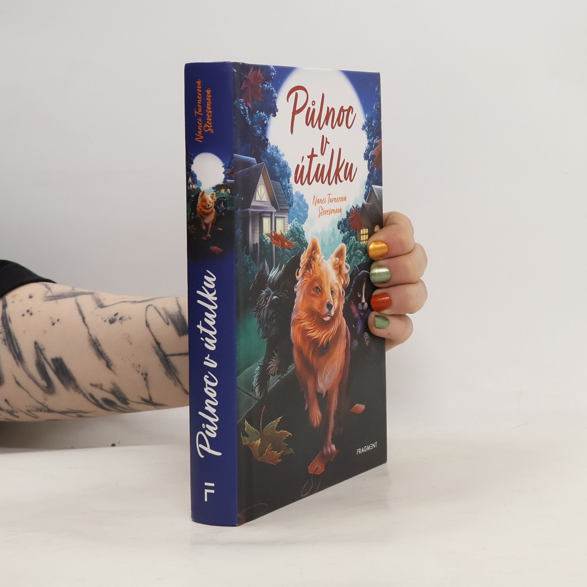 Alžběta Kalinová Půlnoc v útulku