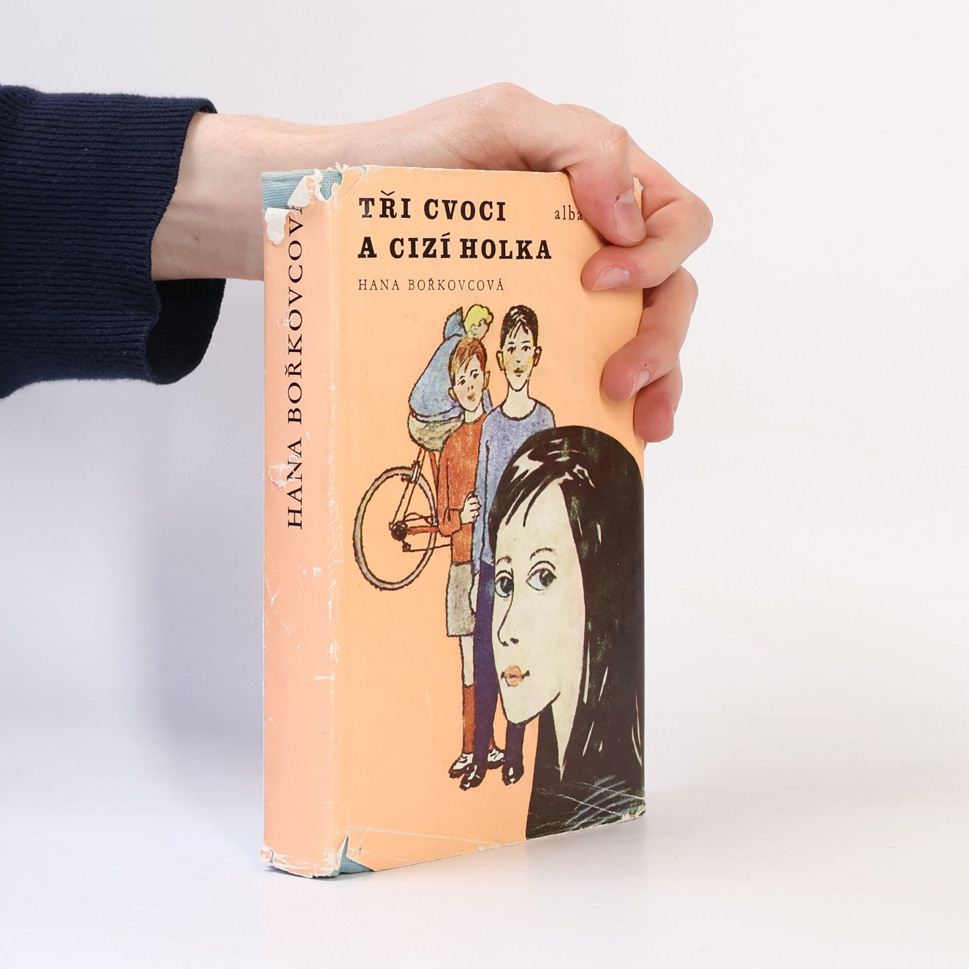 Hana Bořkovcová Tři cvoci a cizí holka