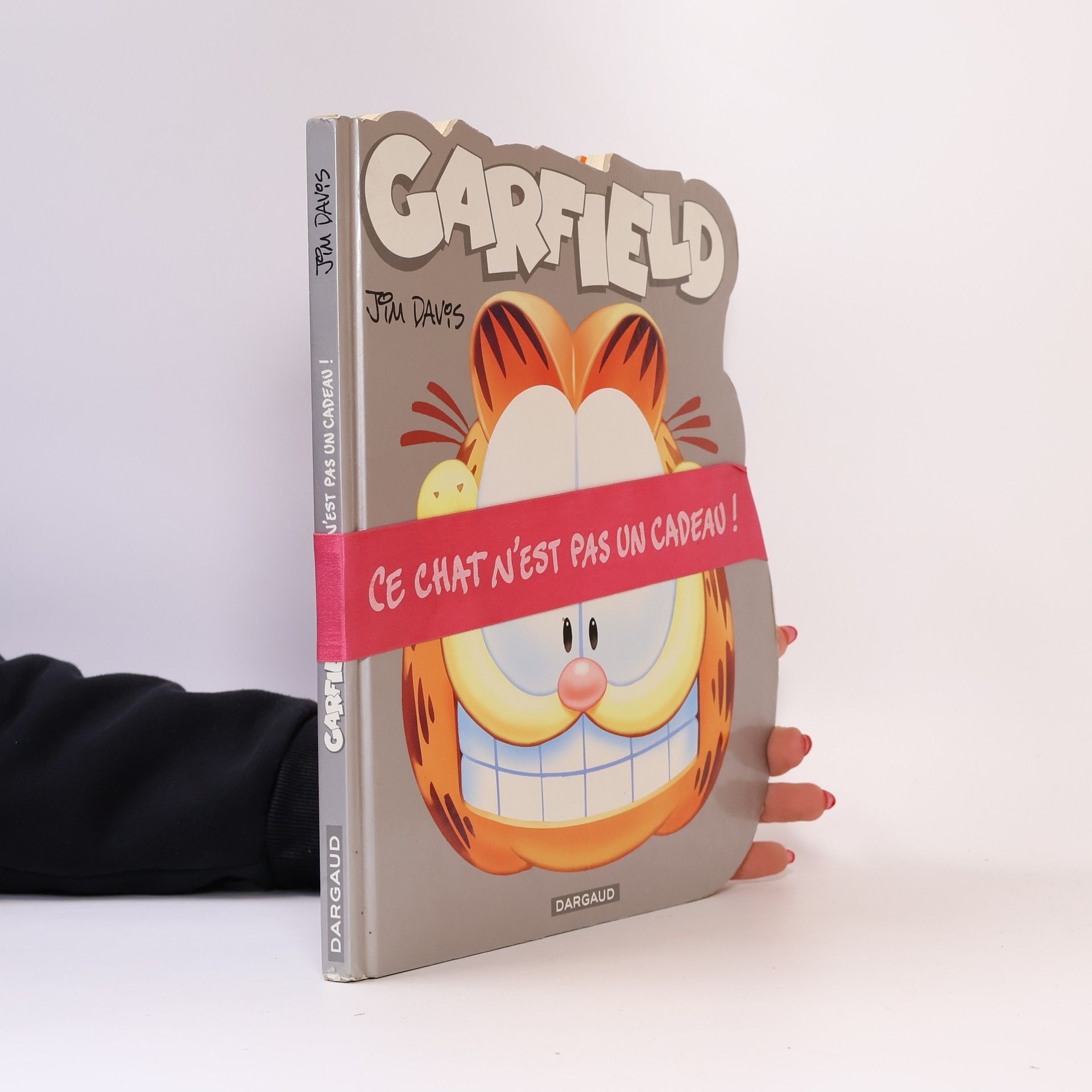 Jim Davis Ce chat n'est pas un cadeau!