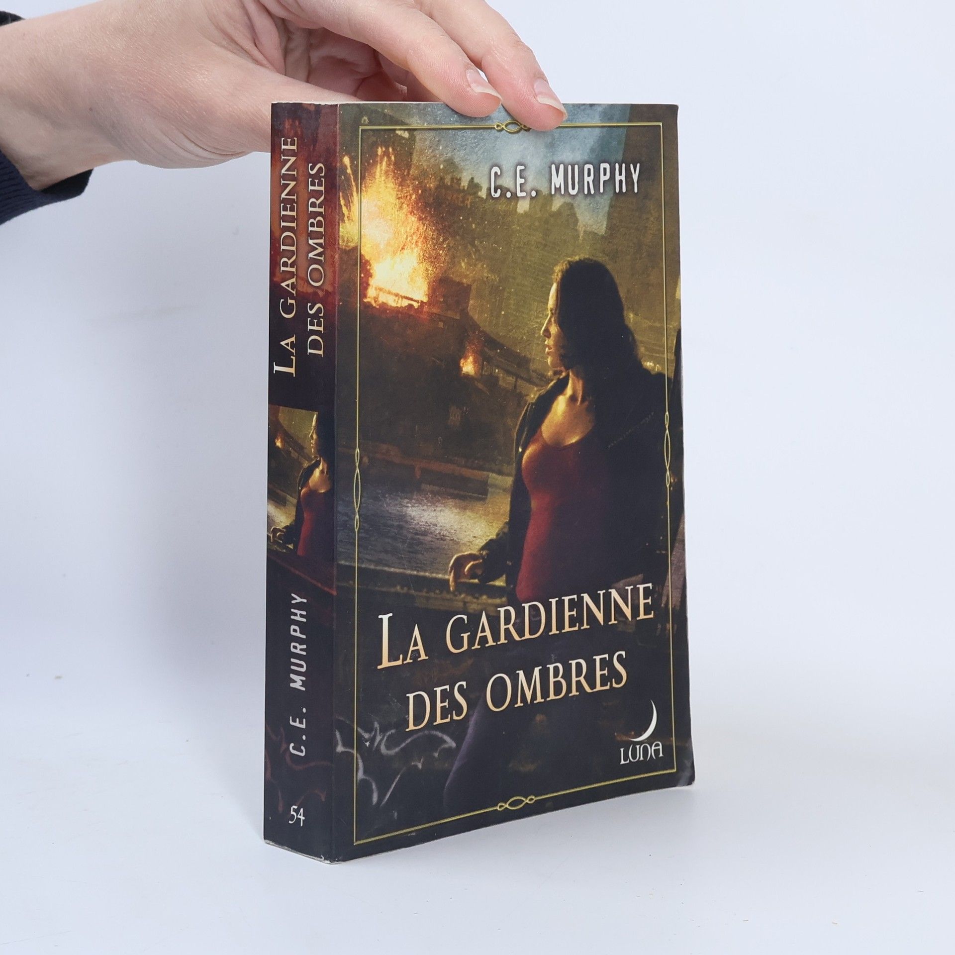 Fabrice Canepa La gardienne des ombres