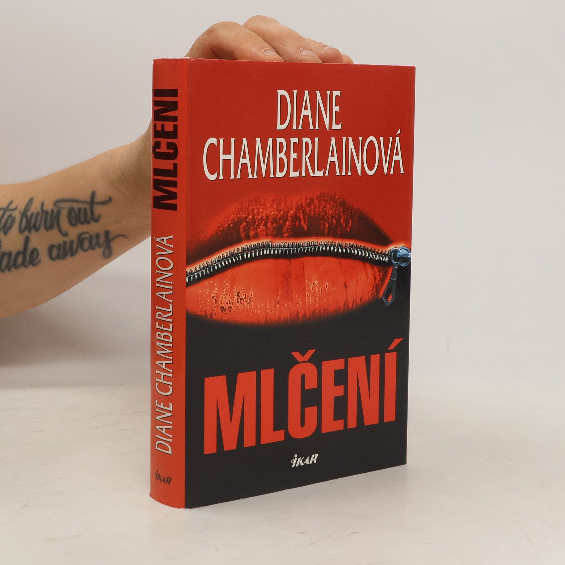 Diane Chamberlain Mlčení