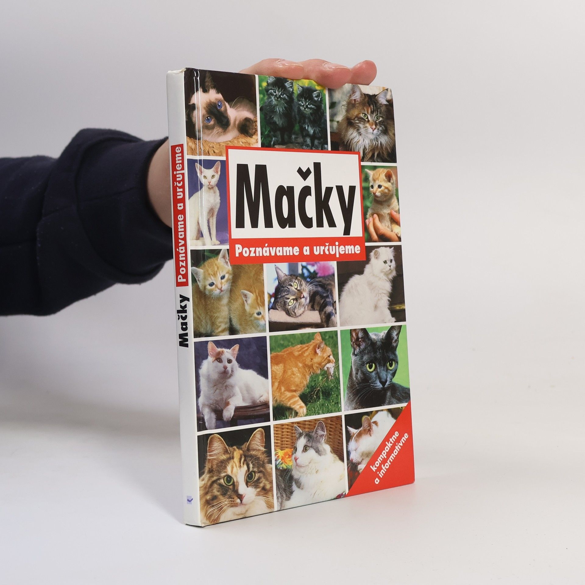 Autorenkollektiv Mačky - poznávame a určujeme