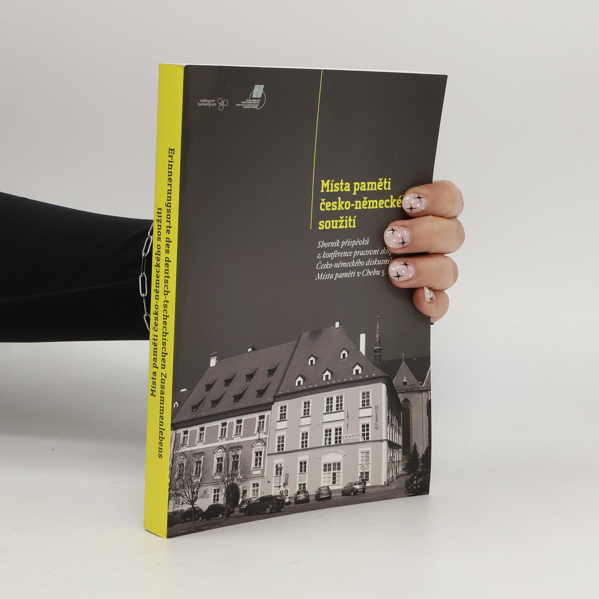 Katharina Meyer Erinnerungsorte des deutsch-tschechischen Zusammenlebens