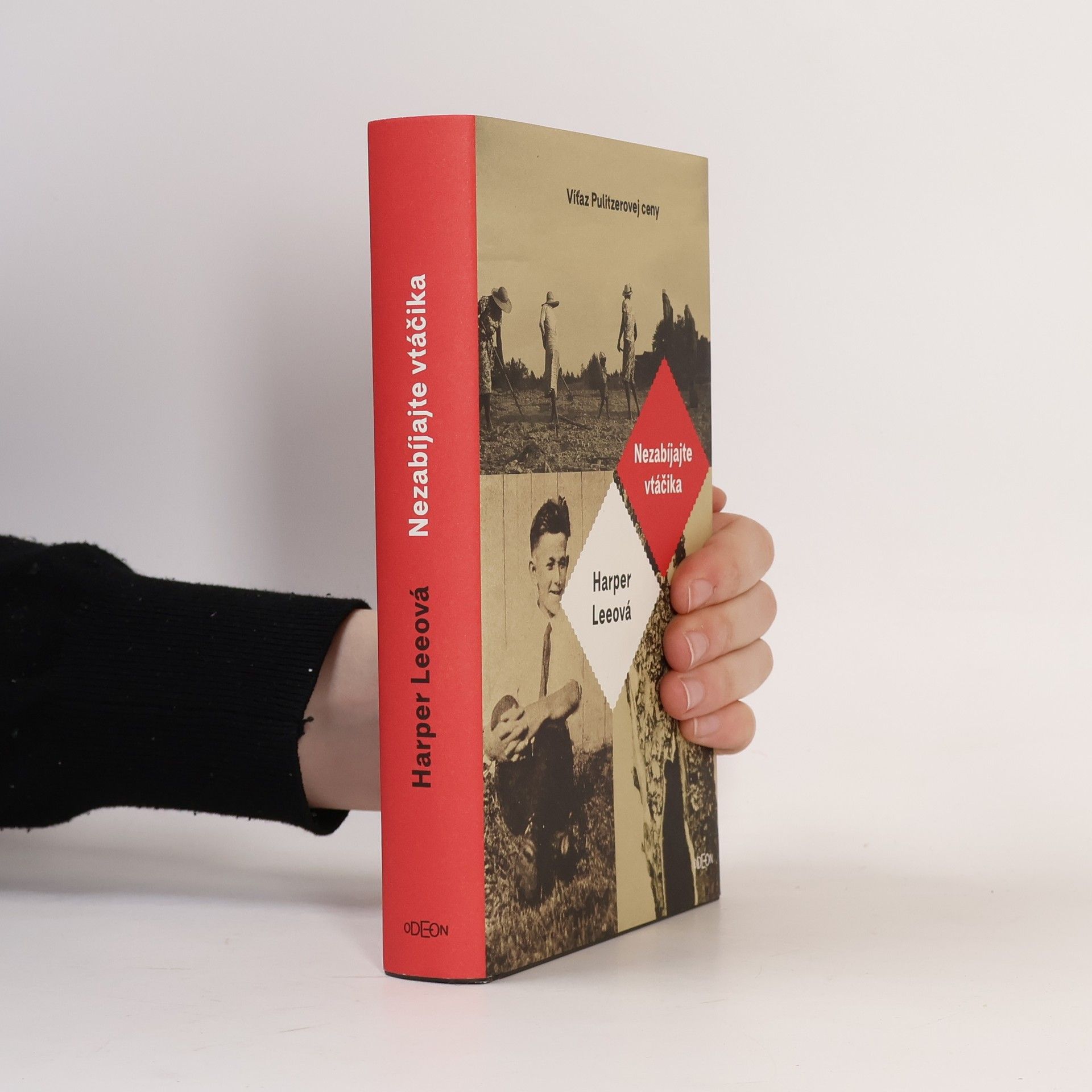 Harper Lee Nezabíjajte vtáčika