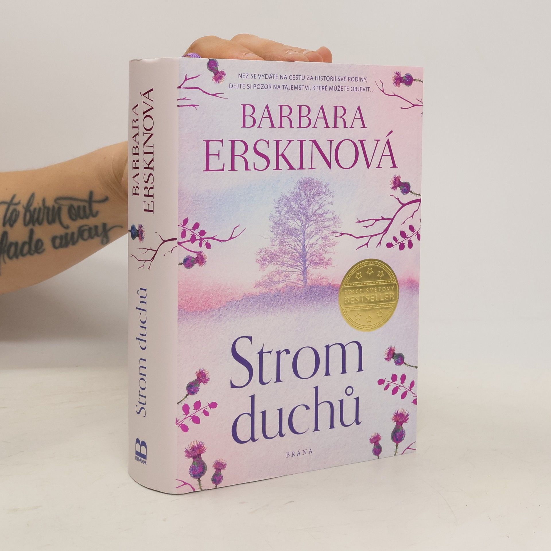 Barbara Erskine Strom duchů