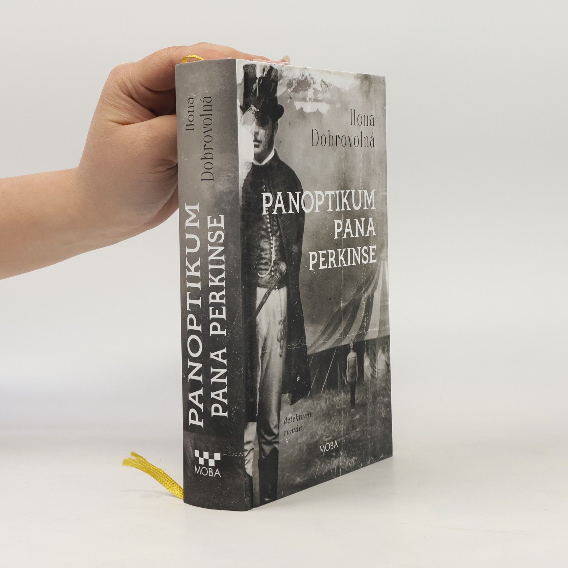 Ilona Dobrovolná Panoptikum pana Perkinse