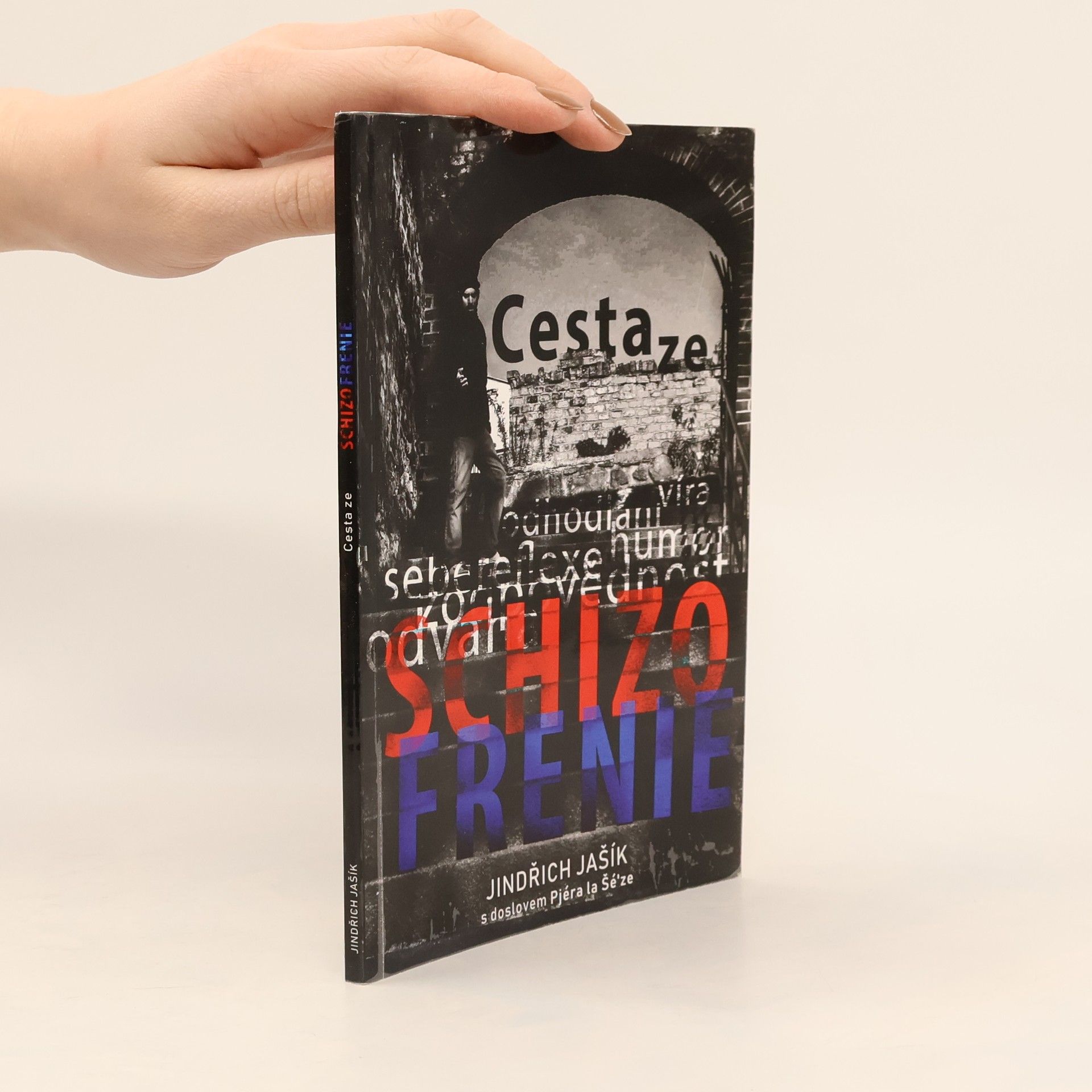 Jindřich Jašík Cesta ze schizofrenie