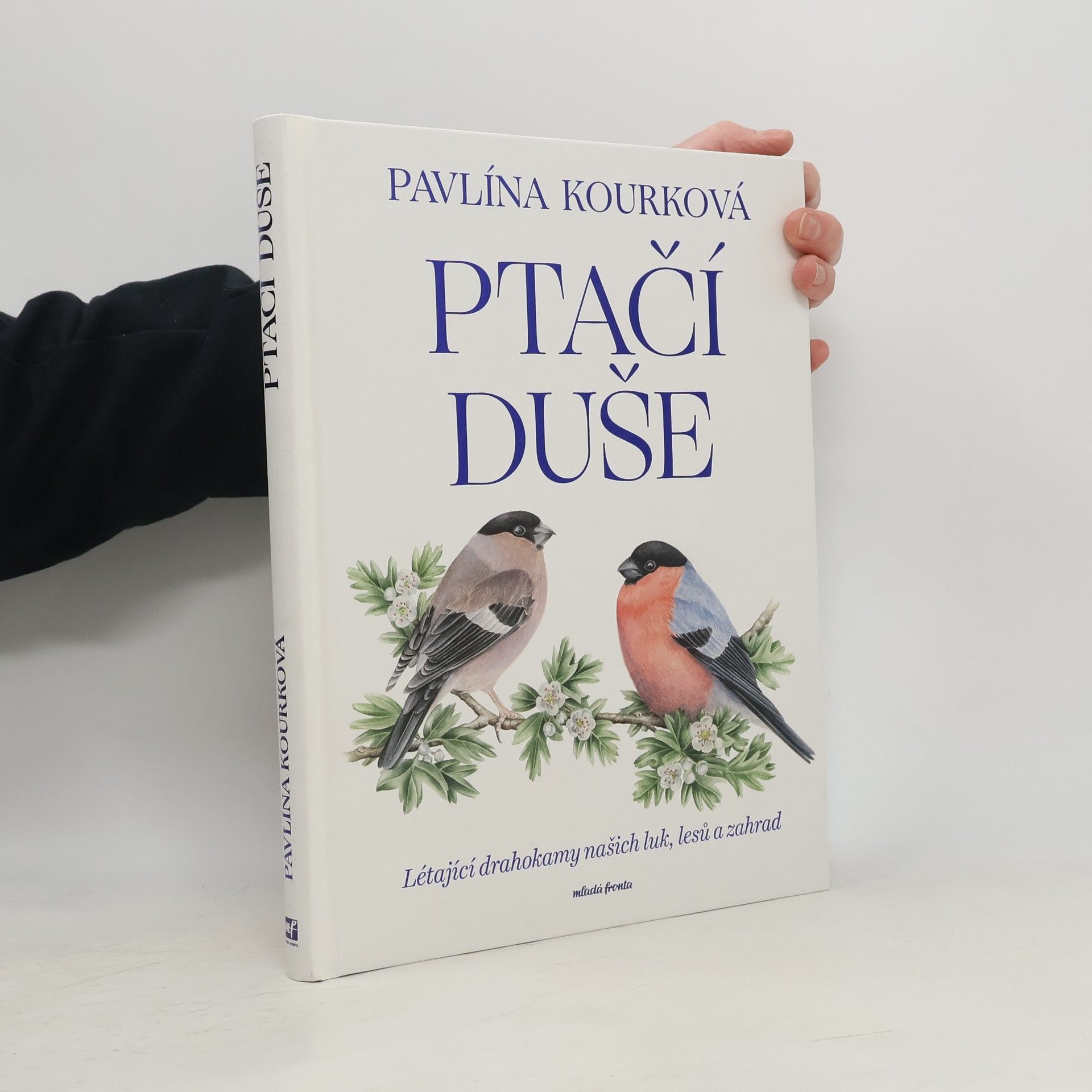 Pavlína Kourková Ptačí duše